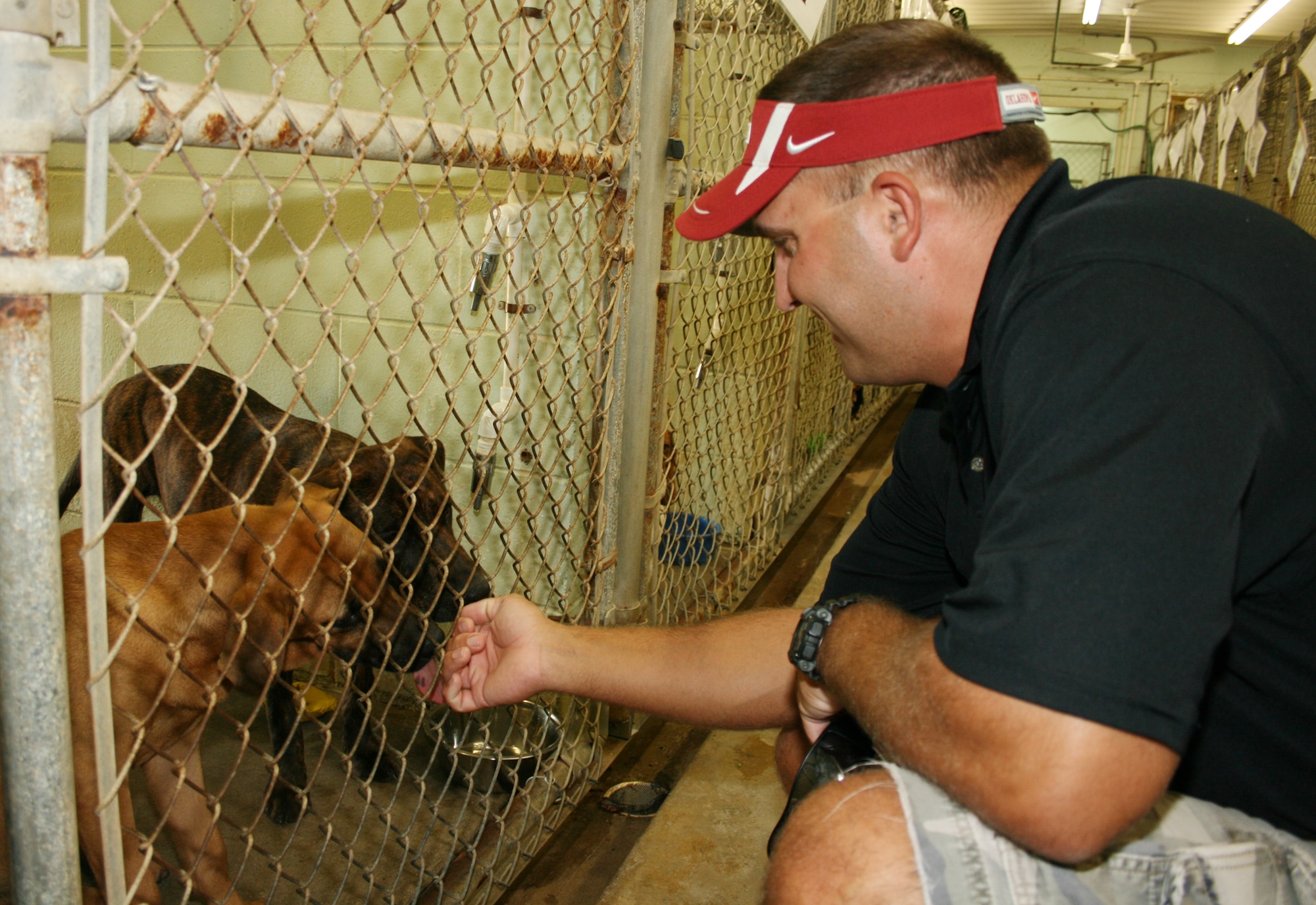 A keyworker for the Combined Federal Campaign plays with puppies available for adoption at the animal shelter.The Panhandle Animal Welfare Society is one of the many organizations members can designate as a beneficiary of their CFC contributions.  The CFC begins Sept. 21 and runs through October. (U.S. Air Force photo/ 2nd Lt. Andrew Caulk.)