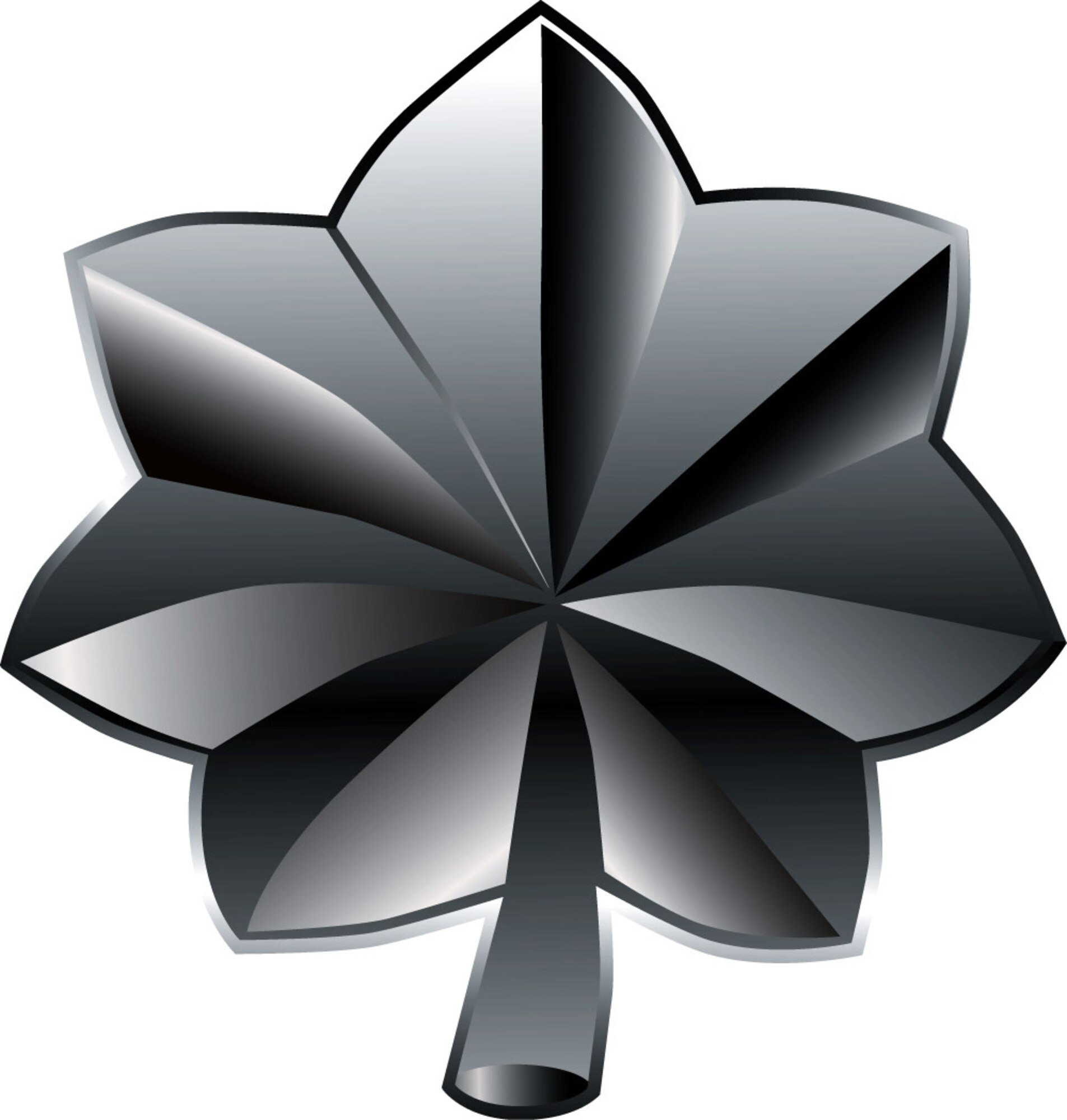 512th Airlift Wing Lieutenant Colonel Promotions