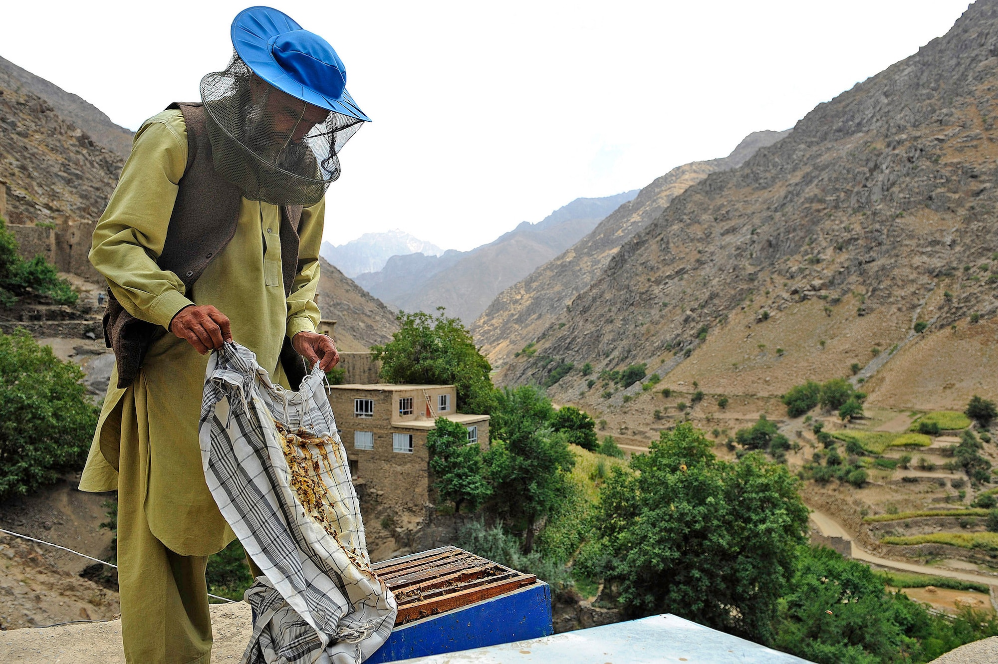 A local beekeeper in the Dara district of Panjshir province, Afghanistan, attends to one of his hives Sept. 7, 2009. The original two colonies given to him in 2008 have grown into 10. (U.S. Air Force photo/Staff Sgt. Mike Keller)