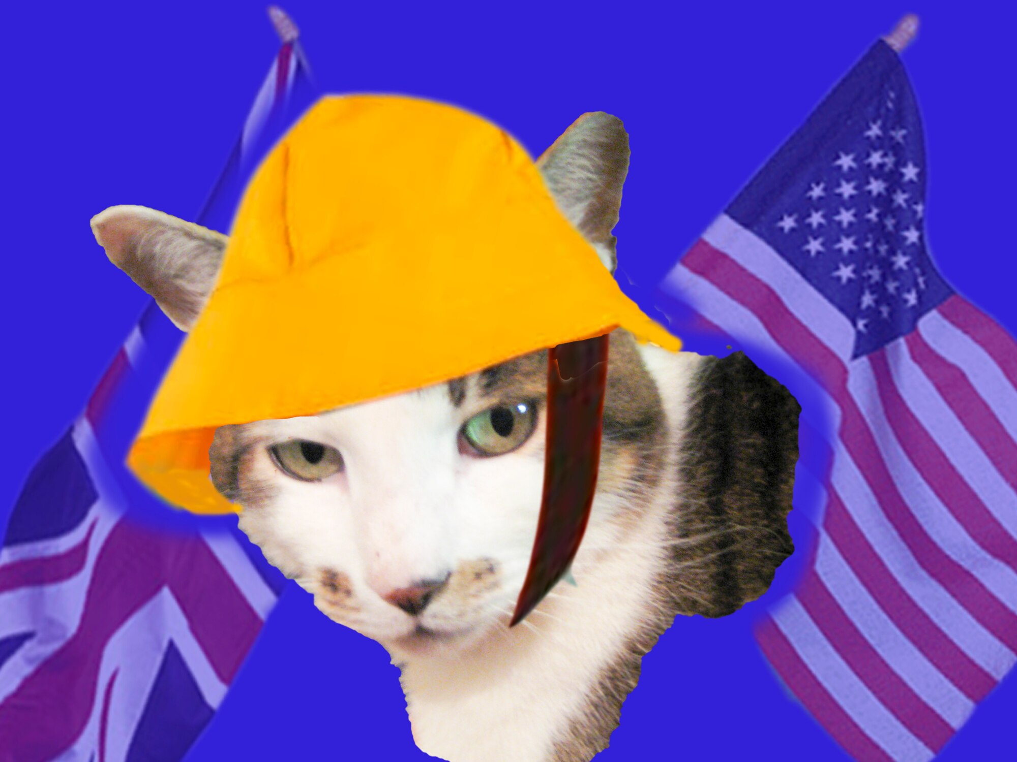 Billy the Cat (aka British Billy) lives in Elveden, a local village about ten miles from RAF Lakenheath. Billy has been around a bit. He came from a rescue centre and prefers not to dwell on the past. He is proud of his country and its heritage and counts his friends and family as hailing from all corners of the British Isles. He is proud to be a “moggy”. Many of his American friends and admirers ask Billy about the things puzzling them about life and culture in the U.K., and if he doesn’t know the answer, he has ways and means of finding out. Feel free to send him any questions, and when he isn’t sleeping or hunting, he’ll try and put a few thoughts together to help you out.

