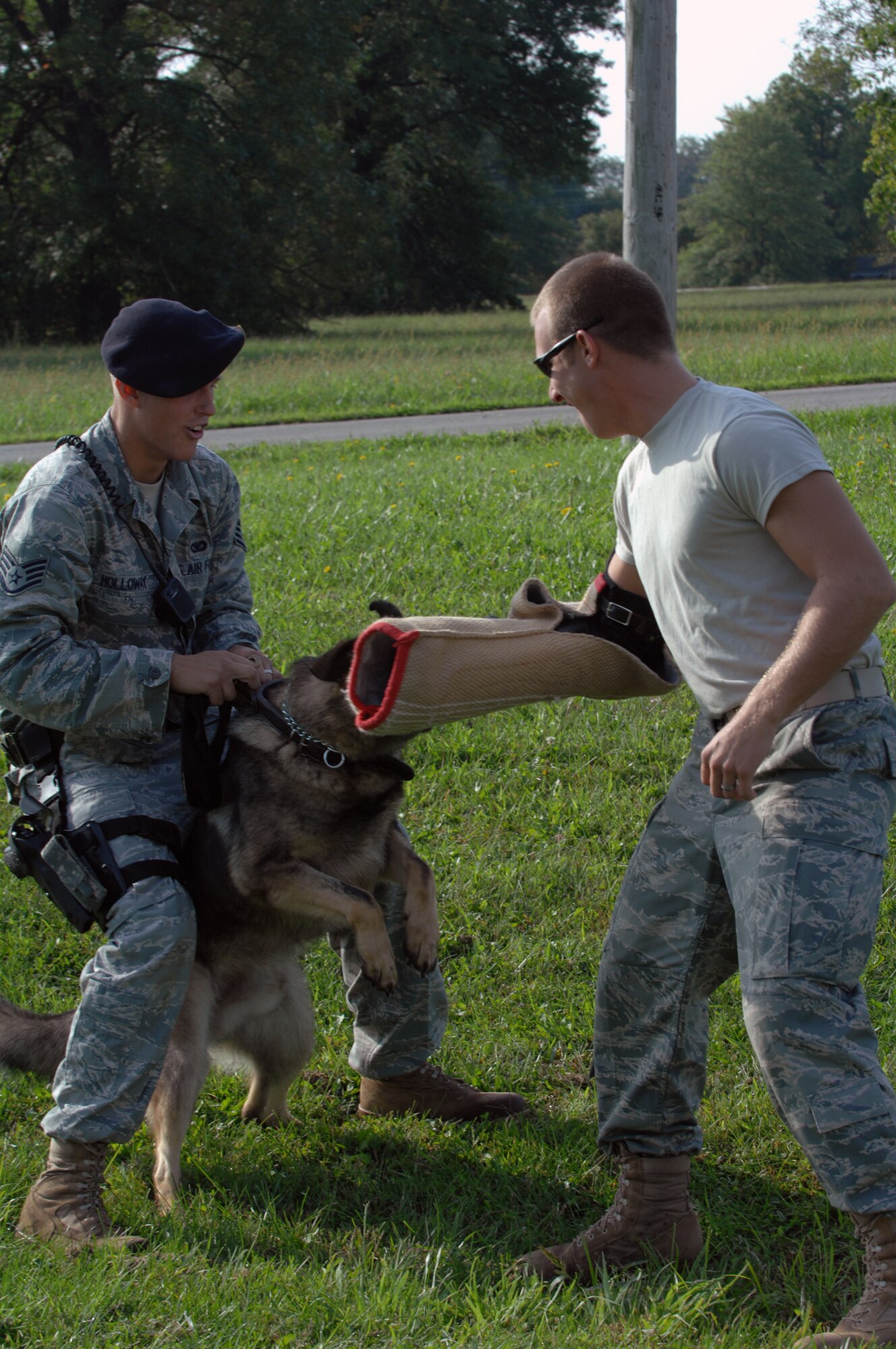 WHITEMAN AIR FORCE BASE -- WHITEMAN AIR FORCE BASE, Mo. –Staff Sgt. Benjamin Seekell  and Staff Sgt. Alex Holloway, both military working dog handlers from 509th Security Forces Squadron, train with Norbo.  Handlers and dogs work together daily so when they are faced with real life situations they can react precisely. (U.S. Air Force photo/Senior Airman Jessica Snow)