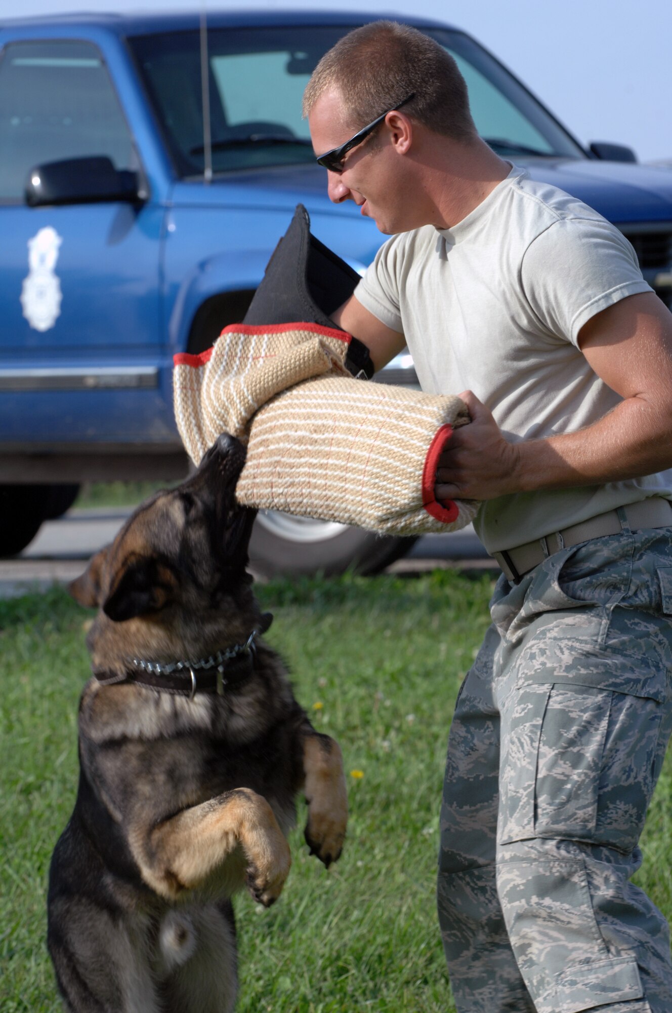 WHITEMAN AIR FORCE BASE -- WHITEMAN AIR FORCE BASE, Mo. –Staff Sgt. Benjamin Seekell, 509th Security Forces Squadron military working dog handler, trains with Norbo.  Handlers and dogs work together daily so when they are faced with real life situations they can react precisely. (U.S. Air Force photo/Senior Airman Jessica Snow)
