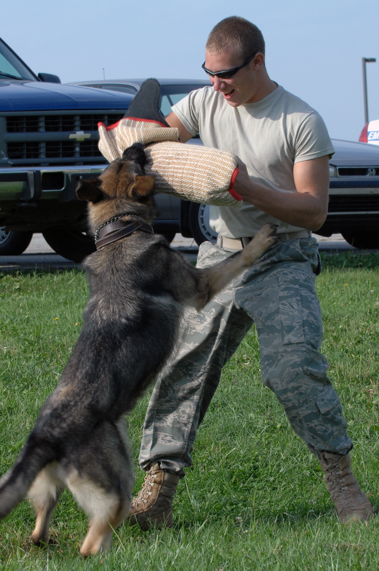 WHITEMAN AIR FORCE BASE -- WHITEMAN AIR FORCE BASE, Mo. –Staff Sgt. Benjamin Seekell, 509th Security Forces Squadron military working dog handler,   trains with Norbo.  Handlers and dogs work together daily so when they are faced with real life situations they can react precisely. (U.S. Air Force photo/Senior Airman Jessica Snow)