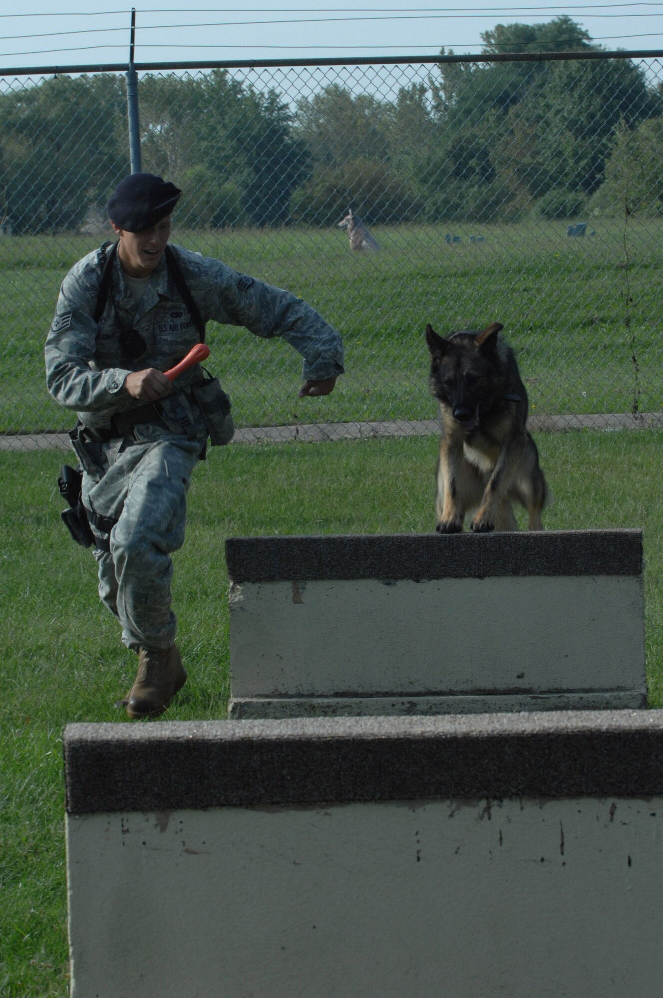 WHITEMAN AIR FORCE BASE -- WHITEMAN AIR FORCE BASE, Mo. –Staff Sgt. Alex Holloway, 509th Security Forces Squadron military working dog handler, runs next to Norbo during training Sept. 16.  Handlers and dogs work together daily so when faced with real life situations they can react precisely. (U.S. Air Force photo/Senior Airman Jessica Snow)
