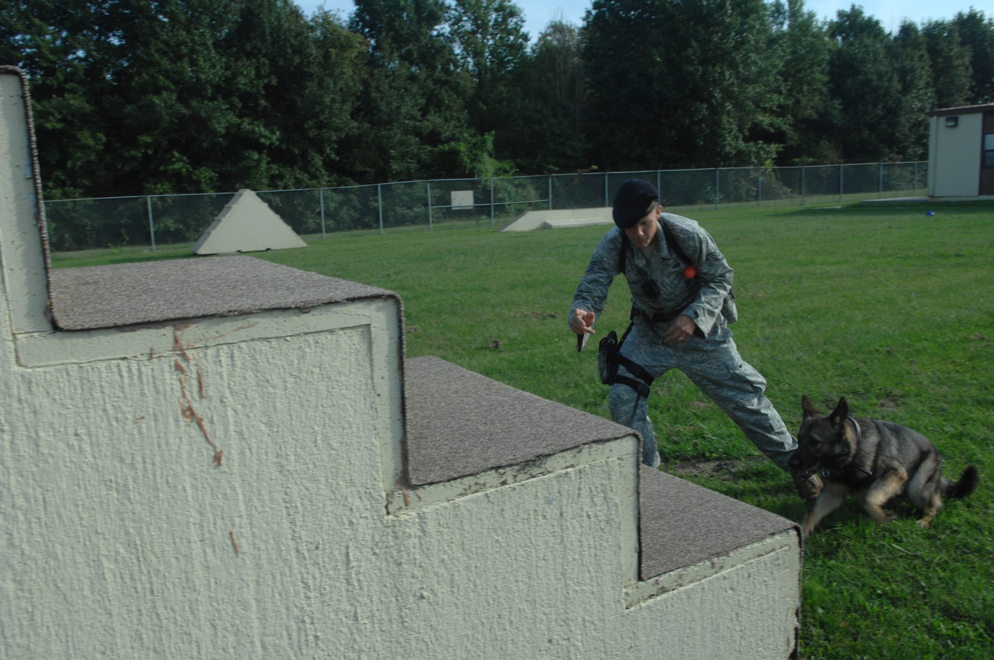 WHITEMAN AIR FORCE BASE -- WHITEMAN AIR FORCE BASE, Mo. –Staff Sgt. Alex Holloway, 509th Security Forces Squadron military working dog handler, runs next to Norbo during training Sept. 16.  Handlers and dogs work together daily so when faced with real life situations they can react precisely. (U.S. Air Force photo/Senior Airman Jessica Snow)
