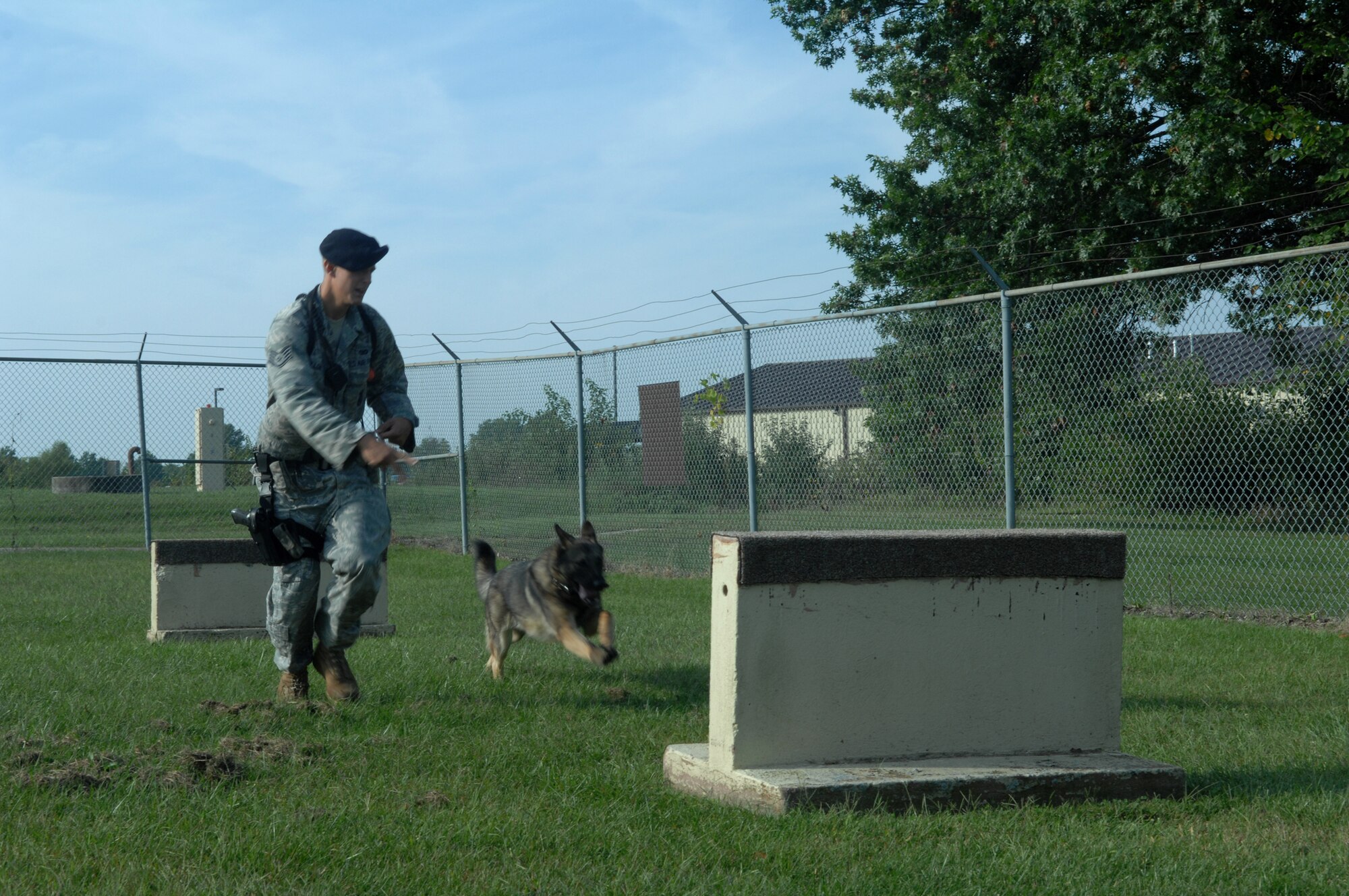 WHITEMAN AIR FORCE BASE -- WHITEMAN AIR FORCE BASE, Mo. –Staff Sgt. Alex Holloway, 509th Security Forces Squadron military working dog handler, runs next to Norbo during training Sept. 16.  Handlers and dogs work together daily so when faced with real life situations they can react precisely. (U.S. Air Force photo/Senior Airman Jessica Snow)