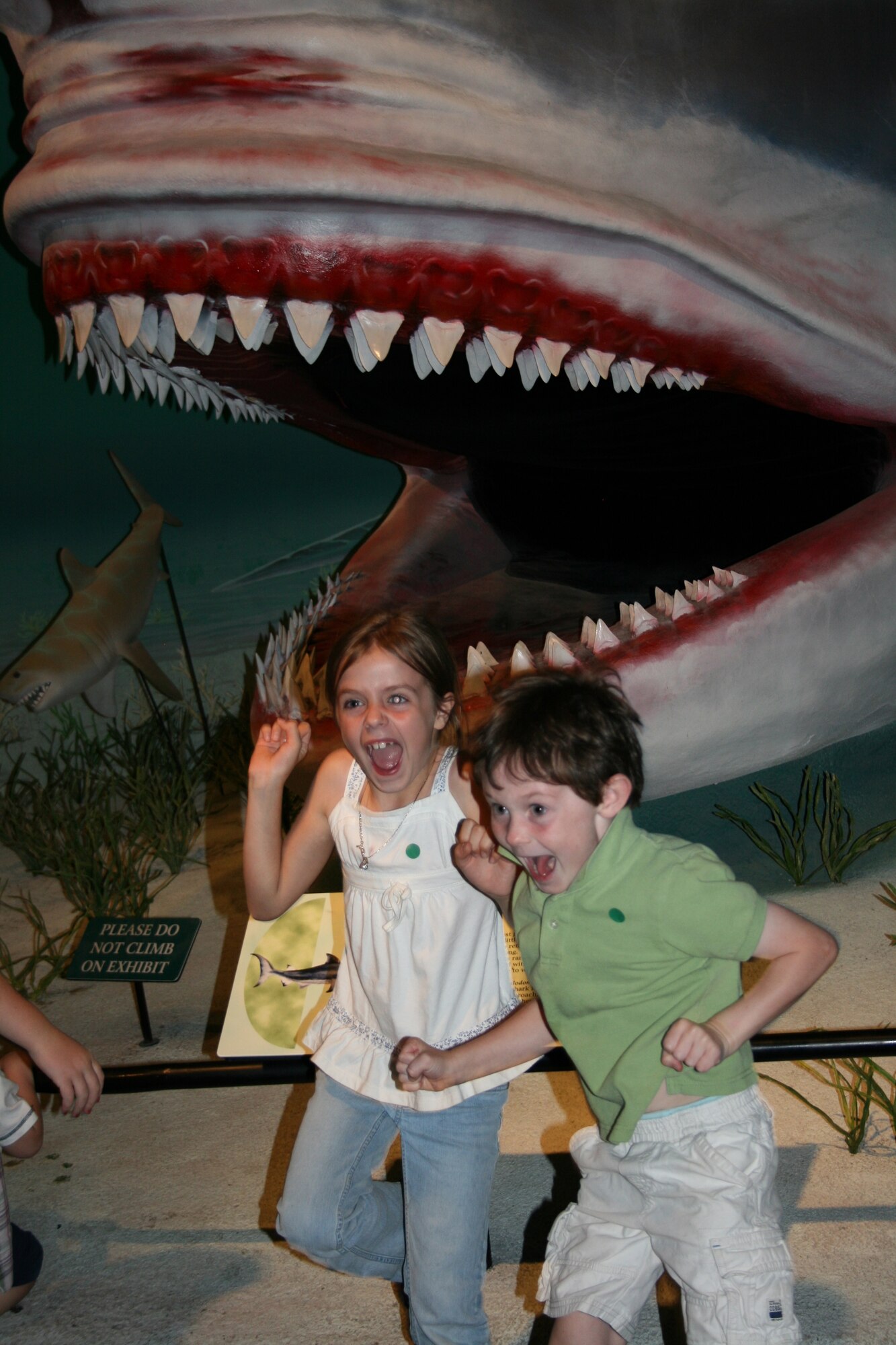 Military children Kaetlin Moffat, age 7, and Preston Russell, age 6,  jump with excitement in front of the a prehistoric shark exhibit, Megalodon, at the Museum of Ancient Life at Thanksgiving Point.  The children visited the museum as part of a free opportunity offered by Operation Military Kids this summer.