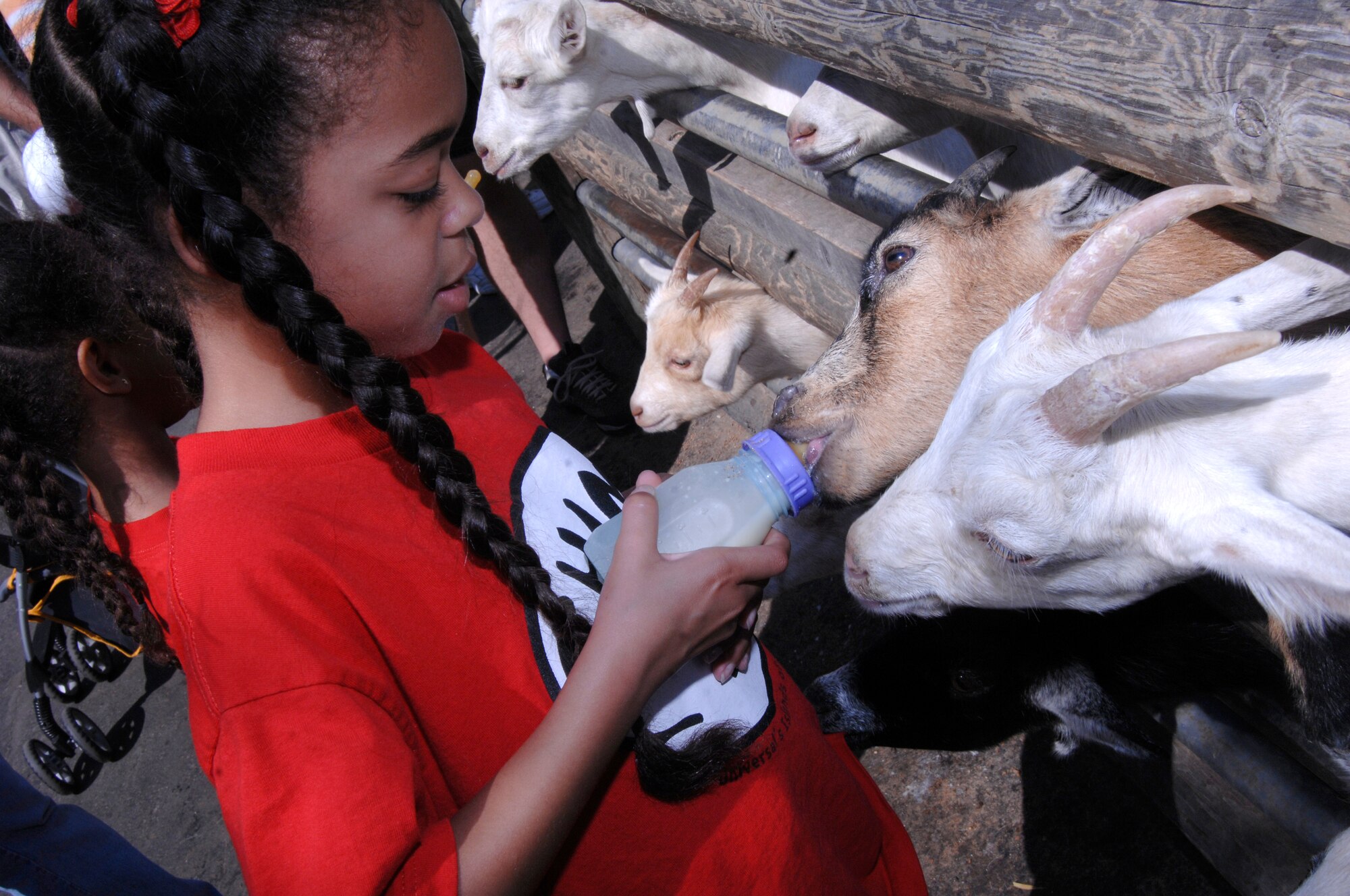SCOTT AIR FORCE BASE, Ill. -- Christina Galloway, daughter of Master Sgts. Danny and Joydette Galloway, feeds pygmy goats at Grant's Farm in St. Louis, Mo. More than 50 members from Team Scott visited Grant's Farm Saturday through the Hearts Apart program for families who have members who are deployed. 

(U.S. Air Force photo/Airman 1st Class Amber Kelly-Herard) 