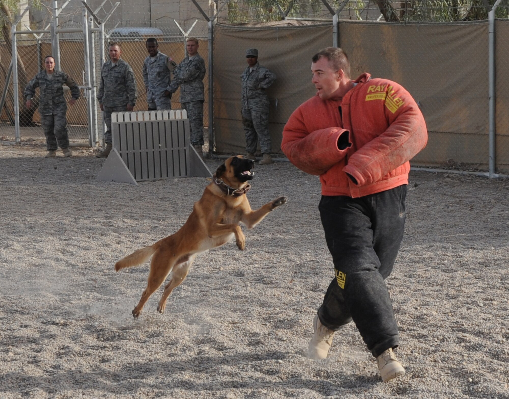 SATHER AIR BASE, Iraq -- Air Force Chaplain (Capt.) Chad Montgomery, 447th Air Expeditionary Group, wears a bite suit as he runs from Max, 447th Expeditionary Security Forces Squadron K-9, during a training session here Sept. 14, 2009. These sessions help military working dogs train on biting other parts of the body as opposed to only biting arms. Chaplain Montgomery has made it his goal to get involved by helping Airmen with their daily missions and training during his deployment. Chaplain Montgomery is deployed from Lackland Air Force Base, Texas, and is a native of Newtown Square, Pa. (U.S. Air Force photo/Tech. Sgt. Johnny L. Saldivar)