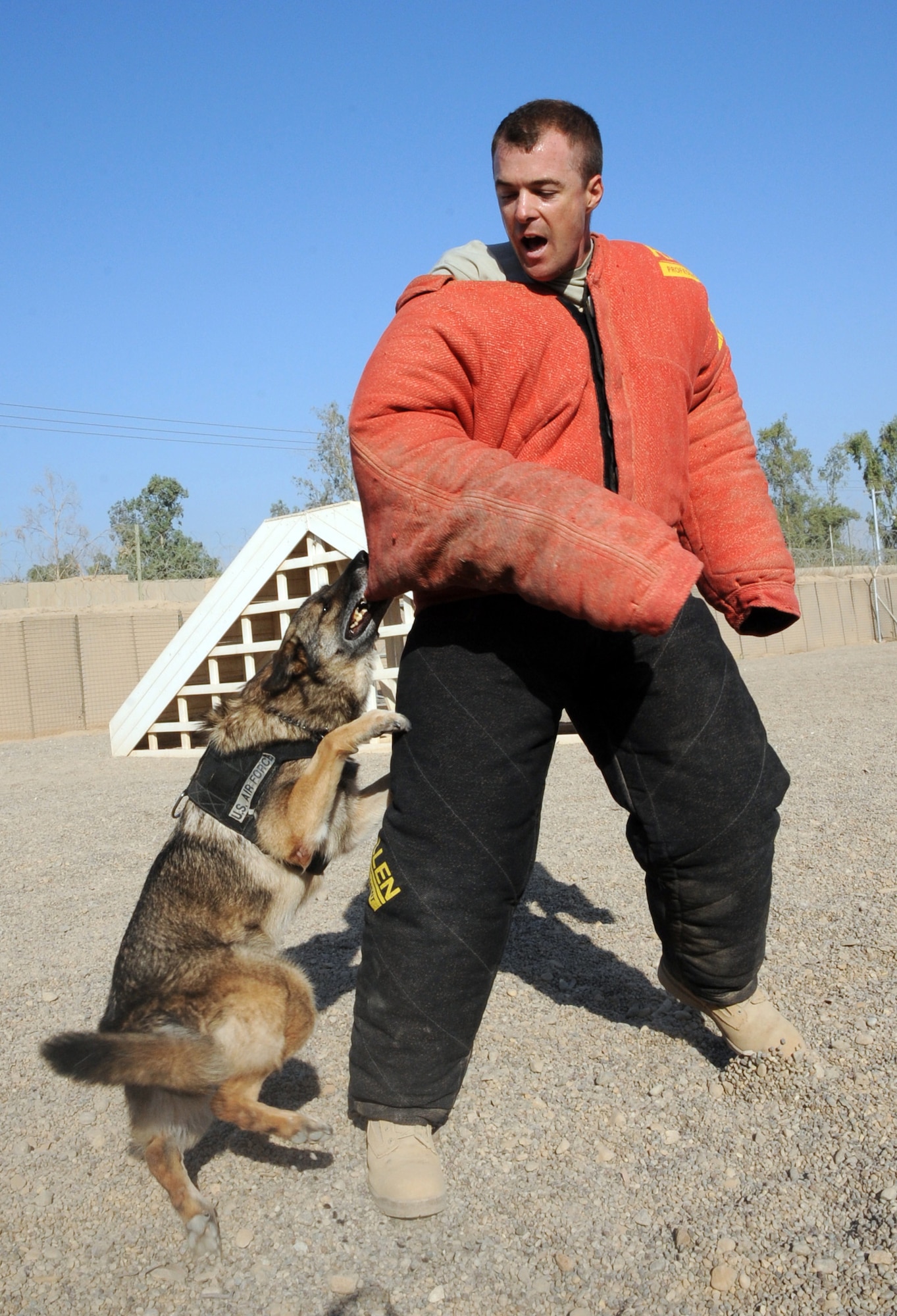 SATHER AIR BASE, Iraq -- Air Force Chaplain (Capt.) Chad Montgomery, 447th Air Expeditionary Group, wears a 25-pound bite suit here to help train military working dog Helena, 447th Expeditionary Security Forces Squadron K-9 Sept. 10, 2009. Chaplain Montgomery has made it his goal to get involved by helping Airmen with their daily missions and training during his deployment. He is deployed from Lackland Air Force Base, Texas, and is a native of Newtown Square, Pa. (U.S. Air Force photo/Tech. Sgt. Johnny L. Saldivar)
