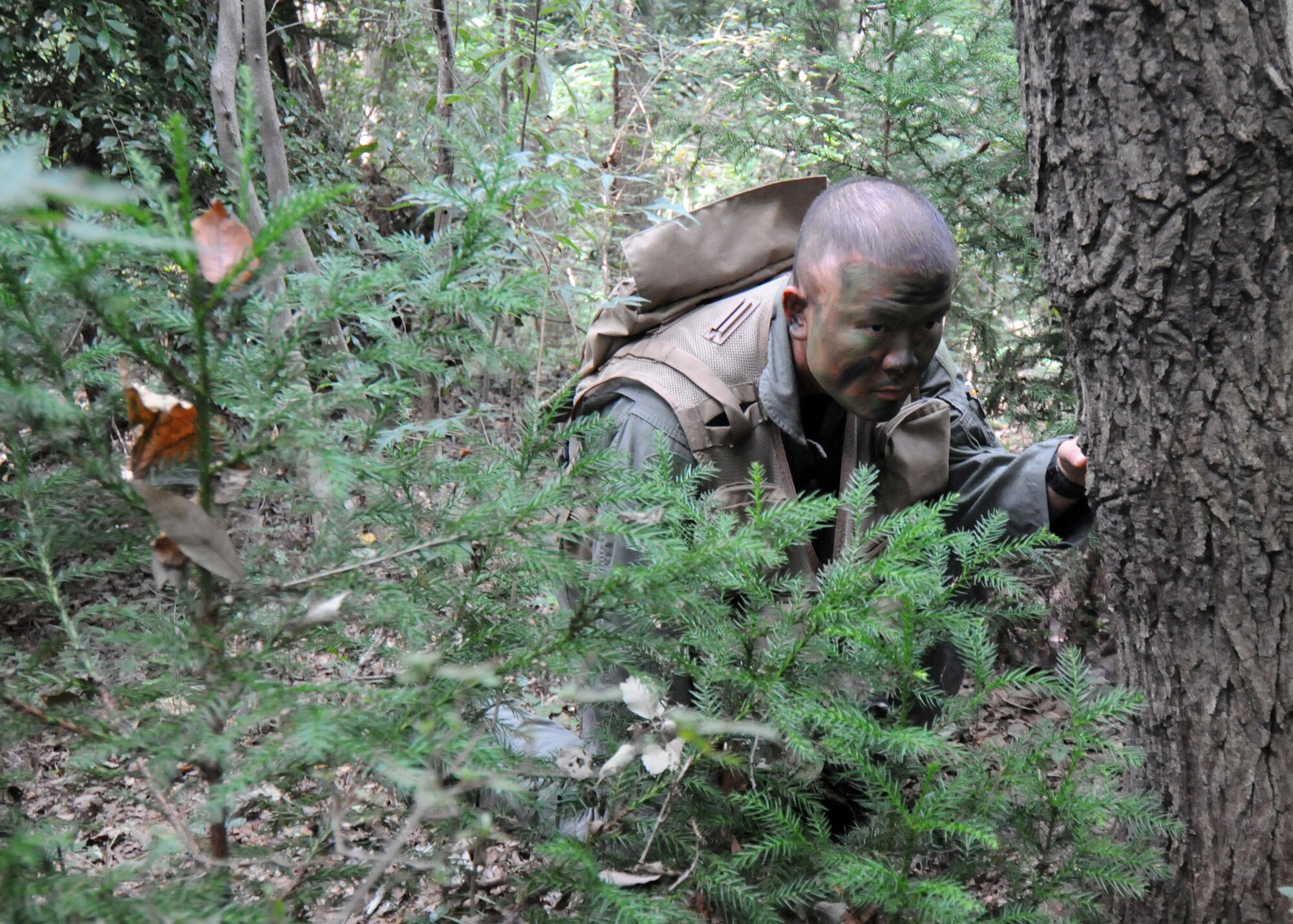 YOKOTA AIR BASE, Japan -- Capt. Ryan Pham, 459th Airlift Squadron pilot, practices evasion techniques during combat survival refresher training recently at Tama Hills Recreation Area. (U.S. Air Force photo/Staff Sgt. Veronica Pierce)
