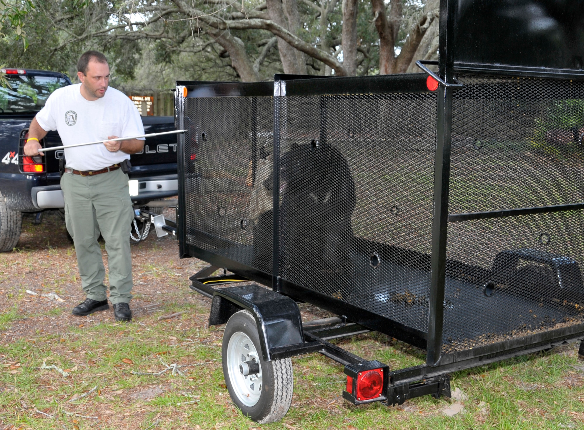 Derek Fuzzel from the Florida Fish and Wildlife Conservation, tranquilizes the 175-pound female bear captured on Tyndall Air Force Base housing Sept. 11. (U.S. Air Force photo courtesy of Lisa Norman)