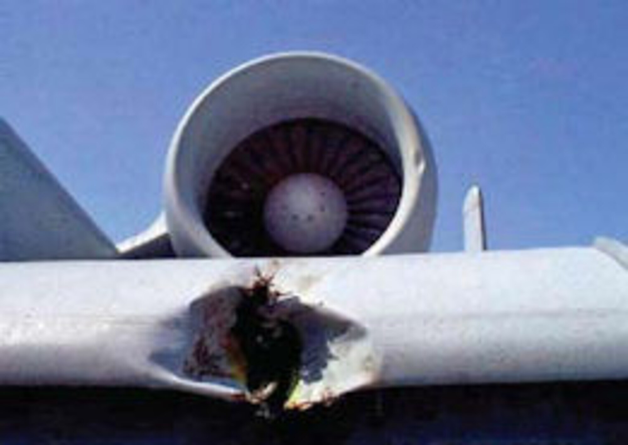 A-10 BASH Strike.
Photo courtesy of the U.S. Air Force BASH Team