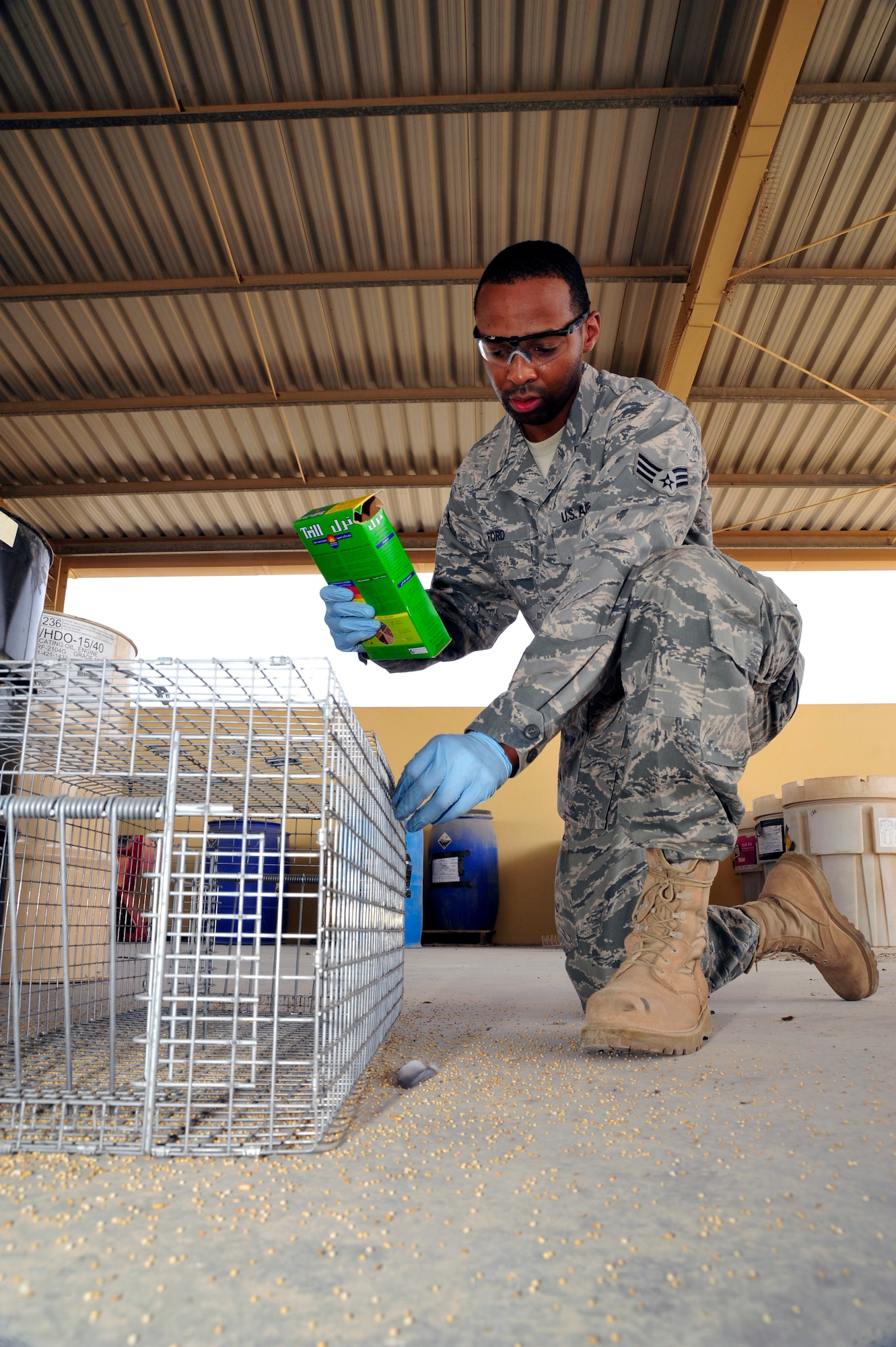 SOUTHWEST ASIA -Senior Airman Semorian Ford, 380th Expeditionary Civil Engineer Squadron, pest management journeyman, opens a pigeon trap while spreading bird feed here Sept. 25, 2009. Airman Ford is stationed at Scott Air Force Base, Ill., and hails from Tyler, Texas. (U.S. Air Force photo/Tech. Sgt. Charles Larkin Sr)