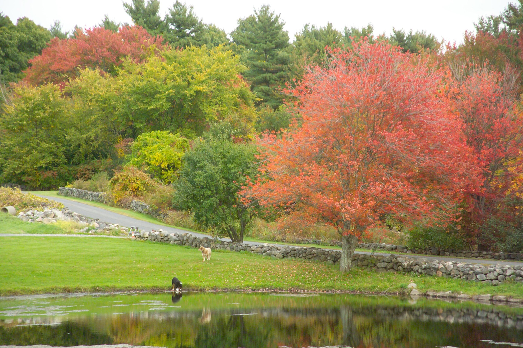 Fall in Bedford, Mass.  (U.S. Air Force photo by Linda LaBonte Britt)