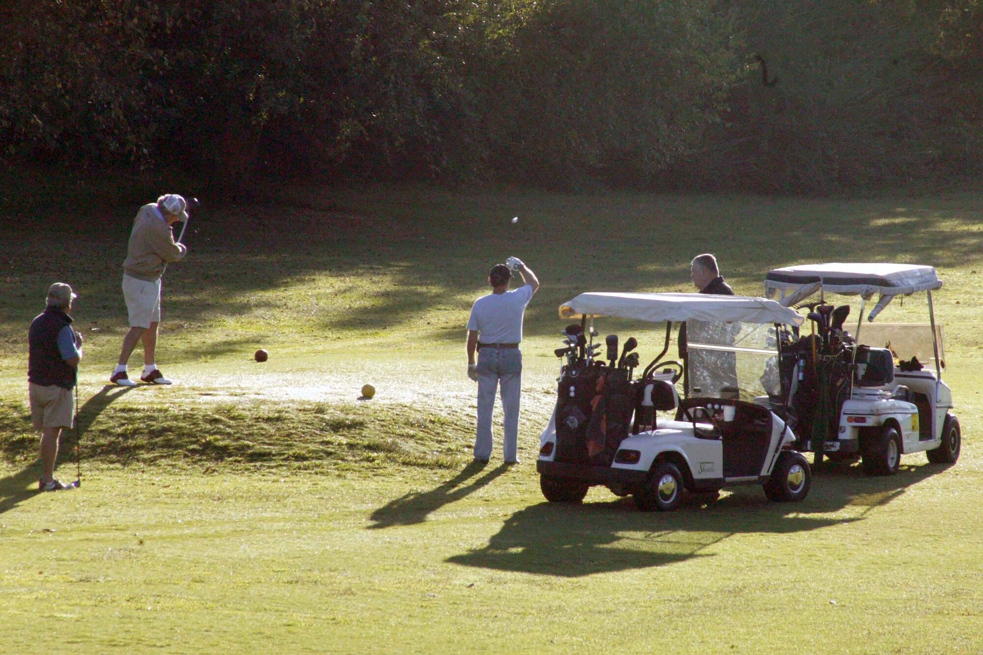 SHAW AIR FORCE BASE, S.C. -- Shaw members play nine holes of golf during the golf challenge of Shaw's Viper Challenge Sept. 29. The annual Viper Challenge, hosted by the fitness center, is a day packed with many athletic events and challenges. Each participant plays for their squadron and points are given to the first through fourth place finishers. At the end of the day, the point totals are tallied and the squadron with the most points wins. (U.S. Air Force photo/Staff Sgt. John Gordinier)