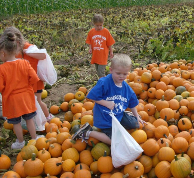 Anthony Legrow scales a pumpkin pile in search of the perfect souvenir as the Child Development Center's Sept. 23 visit to Parlee Farms in Tyngsboro, Mass., draws to a close. The children enjoyed an afternoon of apple and pumpkin picking at the farm.  (U.S. Air Force photo by Marie Buzzotta)  