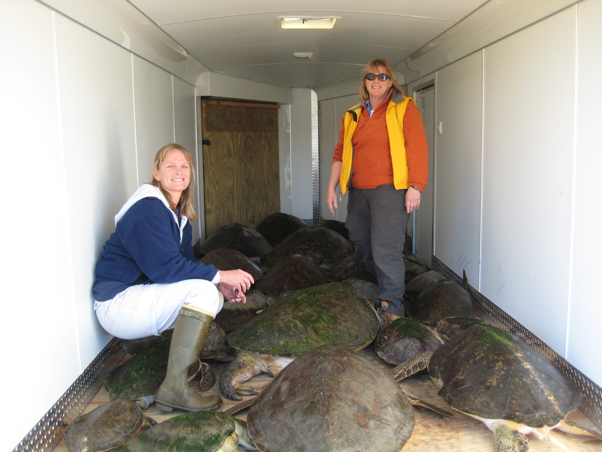 45th Civil Engineer Squadron biologists Angy Chambers and Martha Carroll transport
cold-stunned sea turtles from the shoreline of Cape Canaveral Air Force Station in a trailer provided by the 45th Security Forces Squadron. (U.S. Air Force photo courtesy of Martha Caroll)
