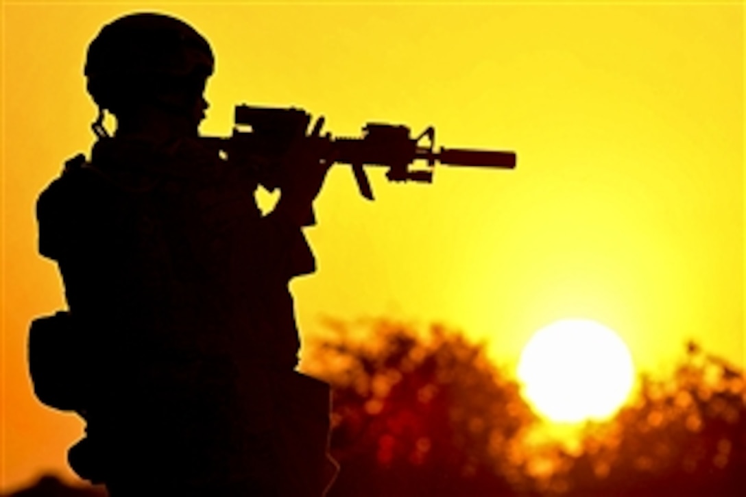 A U.S. Marine pulls security near a poppy field in Peyo as Marines and Afghan soldiers patrol through the village in the Bala Baluk district in Afghanistan's Farah province, March 29, 2010. The Marines are assigned to Marine Special Operation Command.