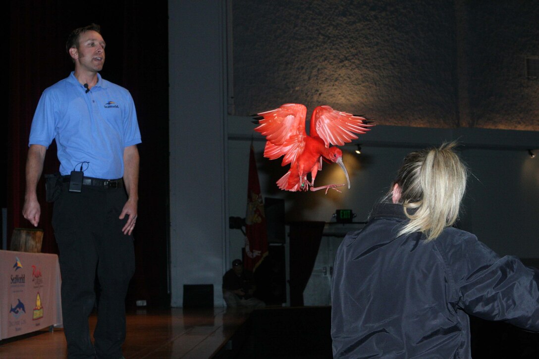 Todd Glazebrook, an animal handler with SeaWorld San Diego, speaks about "Sophie," a Scarlet Ibis, as it flies back to Alyssa Neubarth, also an animal handler with SeaWorld San Diego, for an audience of more than 800 children and their families during the first event of Month of the Military Child at the Bob Hope Theater here April 1. The theater will hold more events for military families throughout April to recognize the month.