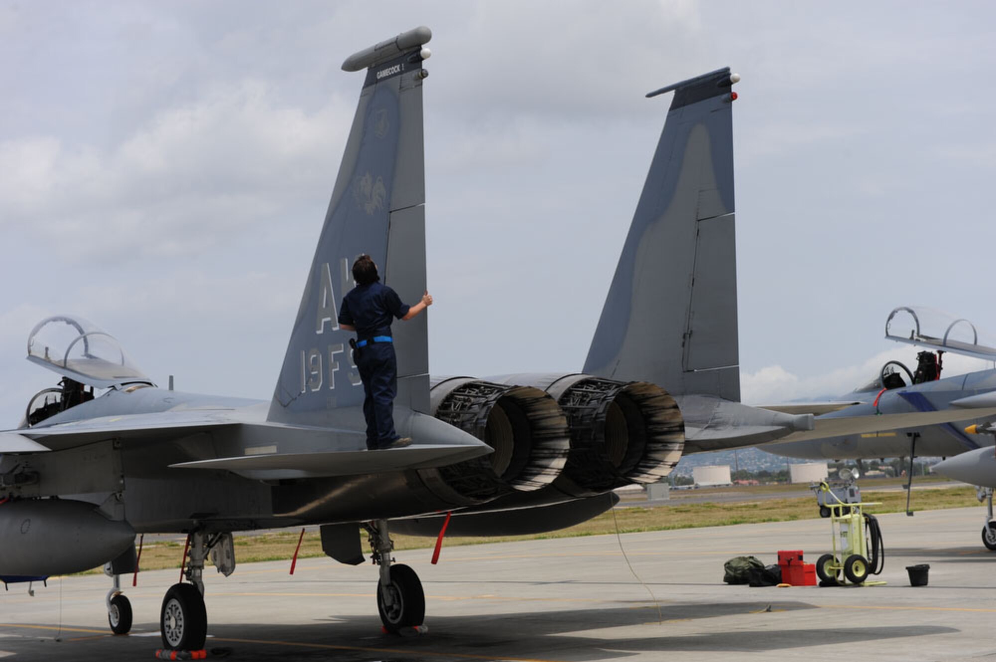 F-15 crew chief, Staff Sergeant Sarah Flagg of the Aircraft Maintenance Unit, 3rd Maintenance Squadron, Elmendorf AFB, Alaska inspects an F-15 after the jet's recent return from a mission scenario during a joint exercise with the Hawaii Air National Guard's 199th Fighter Squadron at Hickam AFB, Hawaii on March 22, 2010. The 19th FS from Elmendorf AFB, Alaska and the 199th are completing their last exercise together. The 199th will be transitioning to an F-22 squadron next year, while the 19th FS will begin  deactivating procedures on April 1, 2010 as a result of the 2010
Fiscal Year Fighter Restructure Plan.  (U.S. Air Force photo/Tech Sgt. Cohen A. Young)