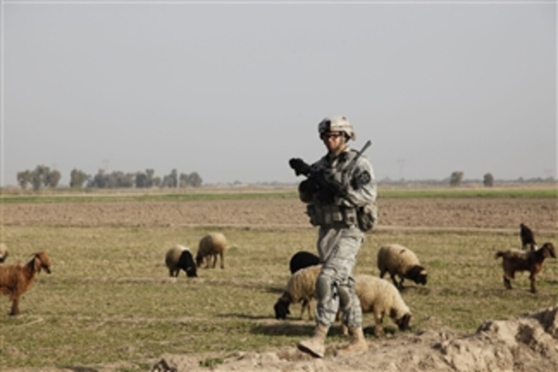 U.S. Army Sgt. Patrick Audette, assigned to Bravo Company, 1st Battalion, 38th Infantry Regiment, 4th Brigade, 2nd Infantry Division, passes by a herd of sheep during a dismounted patrol near Baghdad, Iraq, on Mar. 7, 2010.  The soldiers are in the area providing security for polling stations 300 meters away.  