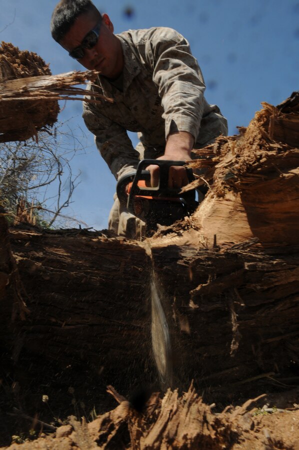 Lance Cpl. Clinton Basoco, Marine Wing Support Squadron 371 combat engineer, hacks through a tree trunk at Auxiliary Airfield 6 on the Barry M. Goldwater Range April 3, 2010. The range is located 7 miles south of Gila Bend, Ariz. Basoco, along with 13 other Marines from the squadron, worked for four days clearing 36,000 square feet of runway in support of the upcoming Weapons and Tactics Instructor course.