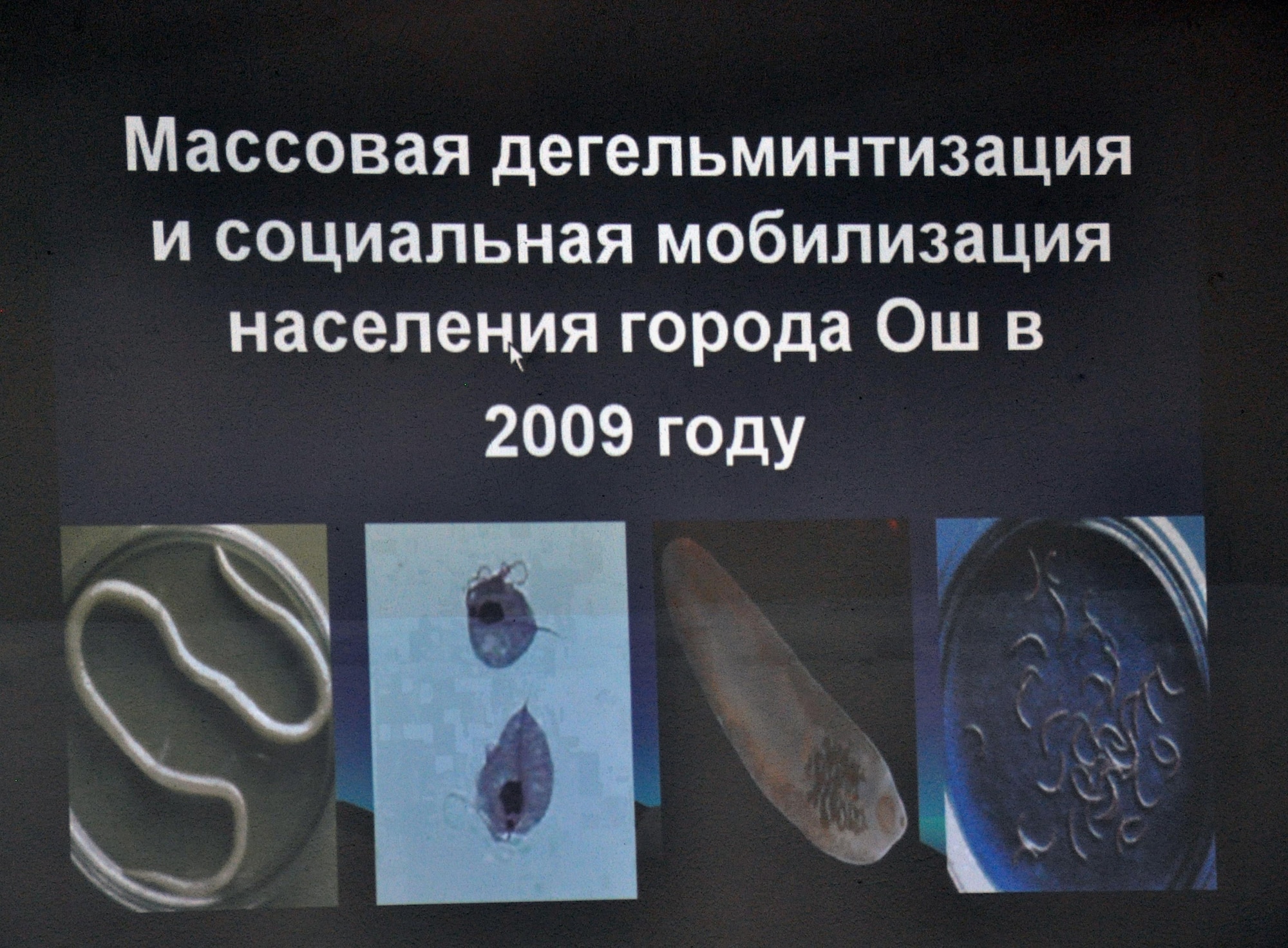 A slide in Russian being shown at a medical conference April 2, 2010, in Bishkek, Kyrgyzstan, features the four major kinds of parasitic worms that have been found in children. So far, two million individuals have been dewormed in Russia, Azerbaijan, Georgia, Armenia and Kyrgyzstan.  In the coming year, officials with the U.S. government and the Transit Center at Manas will support the deworming project in order to successfully eradicate parasitic disease. (U.S. Air Force photo/Staff Sgt. Carolyn Viss)