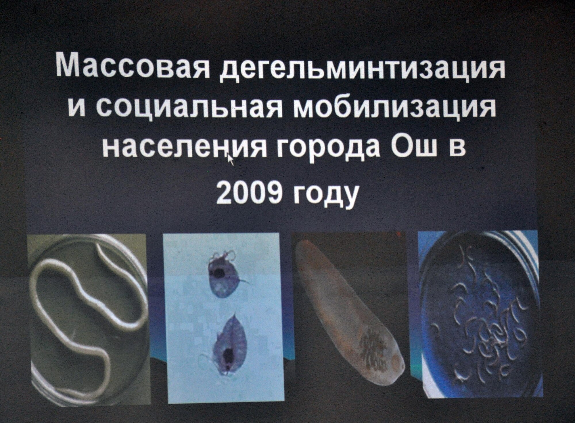 A slide in Russian shows the four major kinds of parasitic worms that can be found in children during a conference in Bishkek, Kyrgyzstan, on mass de-worming April 2, 2010. So far, two million individuals have been de-wormed so far in Russia, Azerbaijan, Georgia, Armenia, and Kyrgyzstan. In the coming year, the U.S. government and Transit Center at Manas will contribute financially to the de-worming project in order to reach the entire nation and successfully eradicate parasitic disease. (U.S. Air Force photo/ Staff Sgt. Carolyn Viss)  