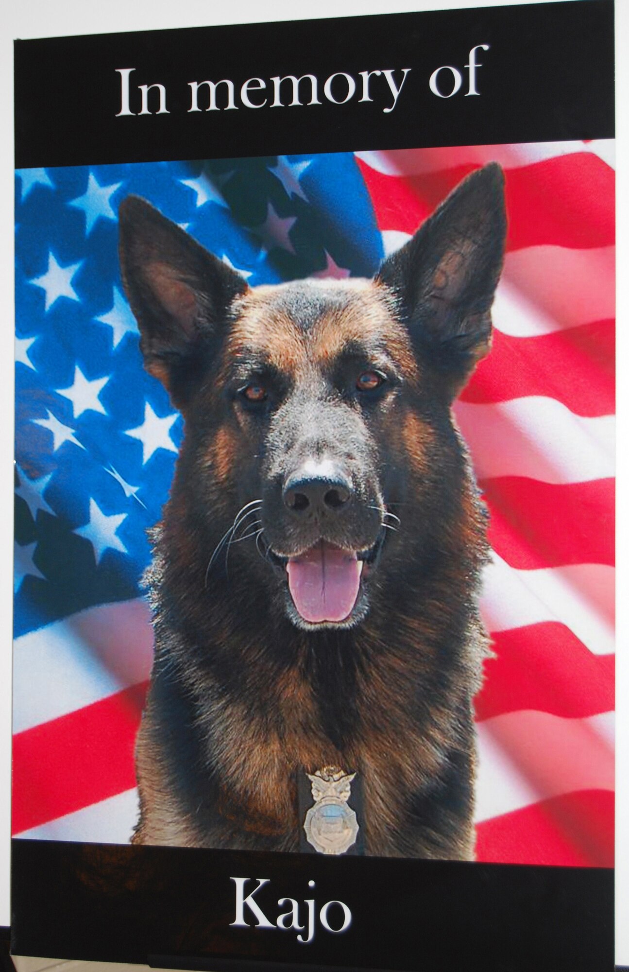 Military working dog Kajo was euthanized March 7 after it was found that he had a cancerous tumor. Kajo's memorial ceremony was held outside the Grizzly Bend Club April 2. (U.S Air Force photo/Airman 1st Class Kristina Overton)