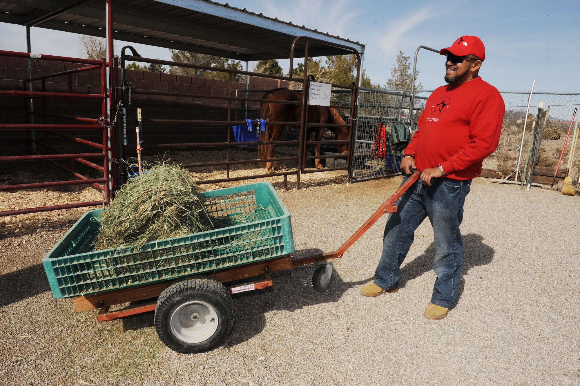 Kim Tanner, retired U.S. Army transportation specialist, moves hay at Spirit Therapies in Las Vegas, Nev., as part of the Horses Healing Heroes program. The program is designed to serve both active-duty military and veterans who have been diagnosed with physical and/or mental challenges.
(U.S. Air Force photo/ Master Sgt. Kevin J. Gruenwald)