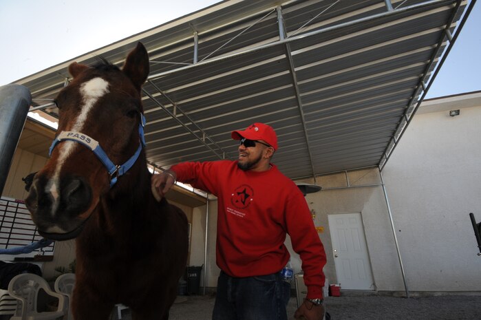 Kim Tanner, retired U.S. Army transportation specialist, brushes "Pass" at Spirit Therapies in Las Vegas, Nev., as part of the Horses Healing Heroes program. The program is designed to serve both active-duty military and veterans who have been diagnosed with physical and/or mental challenges.  
(U.S. Air Force photo/ Master Sgt. Kevin J. Gruenwald)
