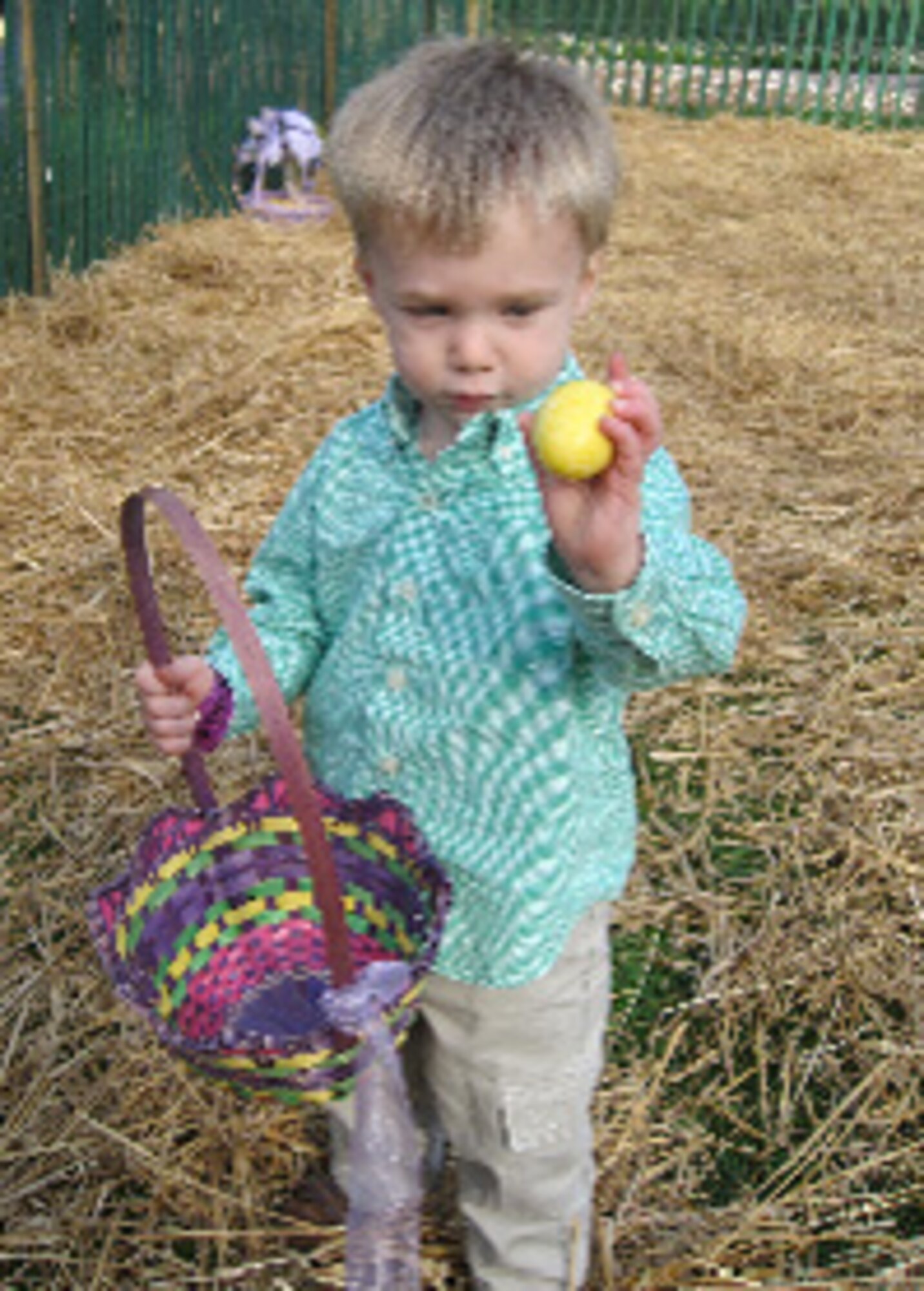 Kieran Farrell, 2-year-old son of Capt. Shannon Farrell, Air Force Research Lab, picks up an egg during the Easter Egg Roll event at the White House April 5.  Team Eglin warriors and their families were invited to particpate in the event.  (Courtesy photo.)
