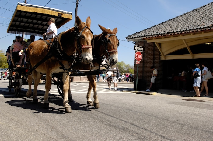 A horse drawn carriage in downtown Charleston is one of the many sites for Airmen and their families to behold on the Newcomer?s Tour sponsored by the Airman and Family Readiness Center on Joint Base Charleston. The tours are held the first Thursday of every month and leave the base at 8:15 a.m. and last until 3:30 p.m. It is free to all who participate with the exception of meals. (U.S. Air Force Photo/Airman 1st Class Lauren Main)
