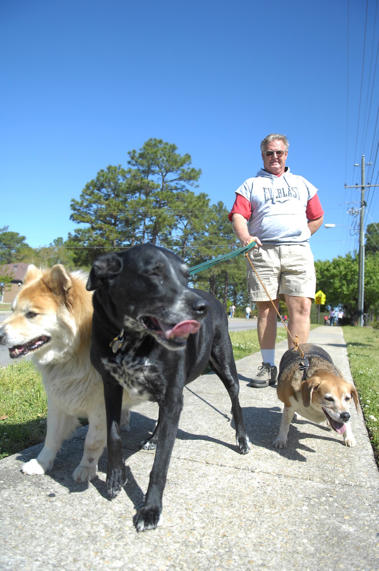 Pat Kelly, U.S. Army (Ret.) walks with his dogs (left to right) Braveheart, 13 years; Clyde, 10 years and Babe, 13 years at Pope’s Annual Spring Fling and Furry Friends Walk at Pope April 10. Along with the walk, the day included several events such as a bouncy castle, arts and crafts, family kickball and a potato sack race. All members of the family were invited, pets included. (U.S. Air Force photo by 2nd Lt. Cammie Quinn)