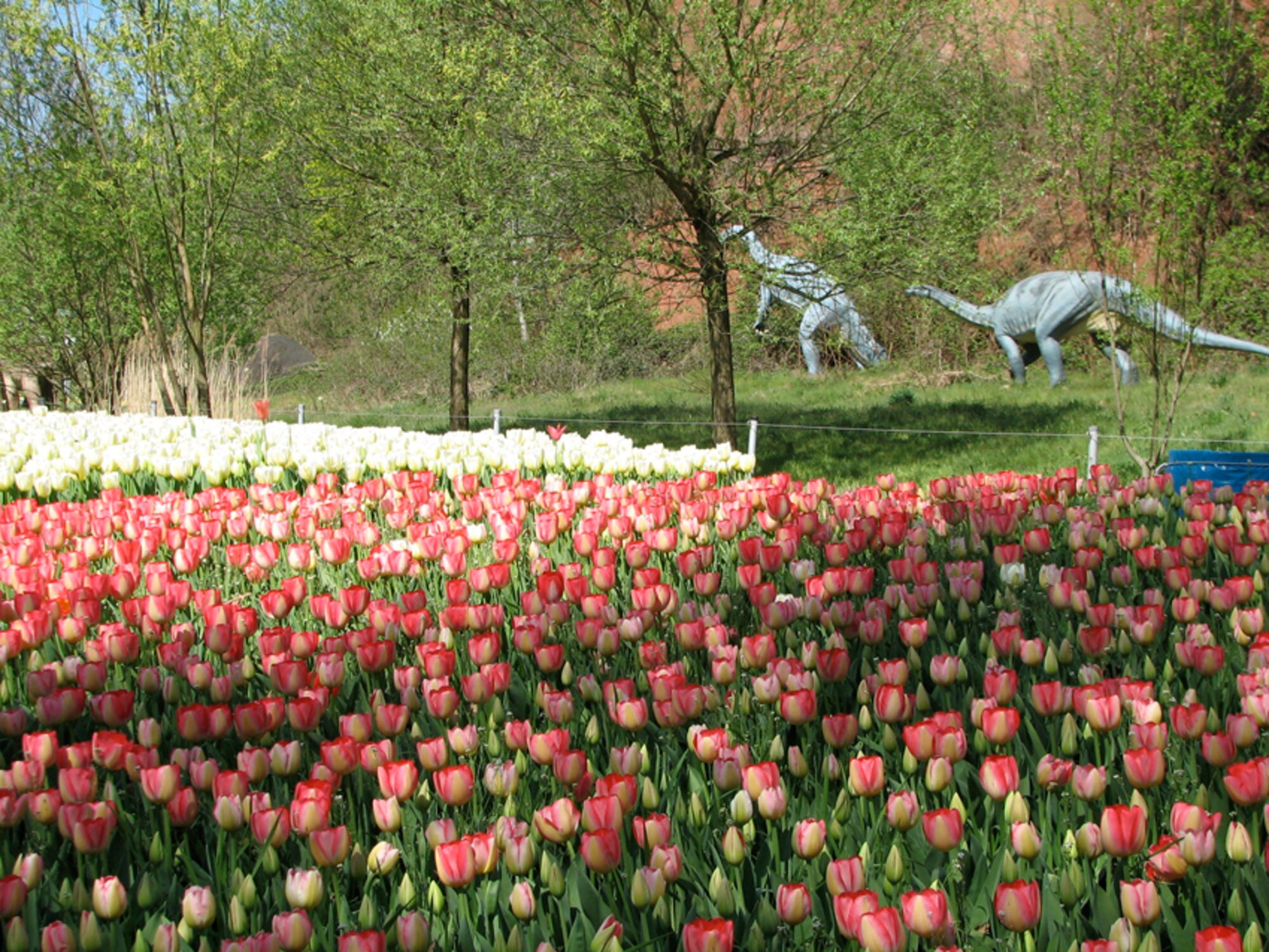 Tulips and dinosaurs lure many visitors to the Gartenschau Kaiserslautern. (Courtesy photo)