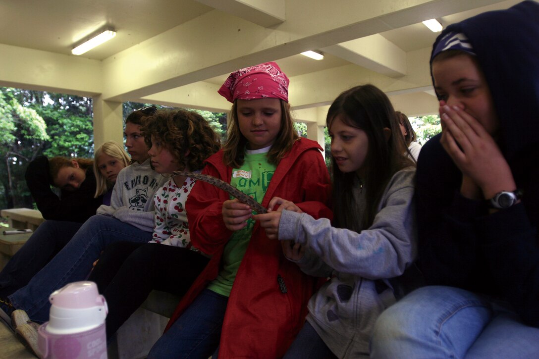 Girl Scouts from across Okinawa look at a stick covered in snake skin during a modified survival course at the Jungle Warfare Training Center April 15.