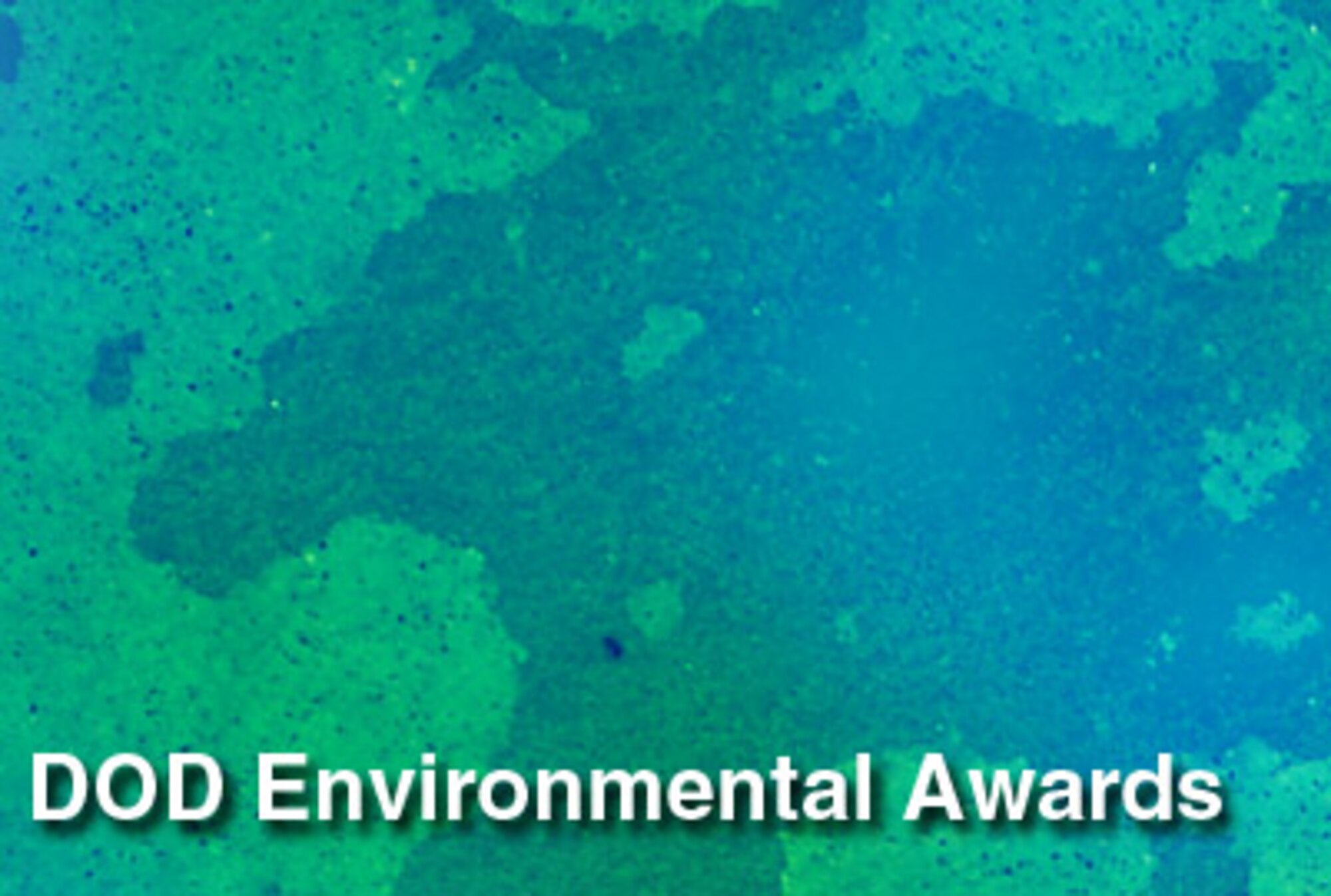 The winners of the 2010 Secretary of Defense Environmental Awards were announced April 14. The Air Force had four of the nine awards.  (U.S. Air Force graphic)
