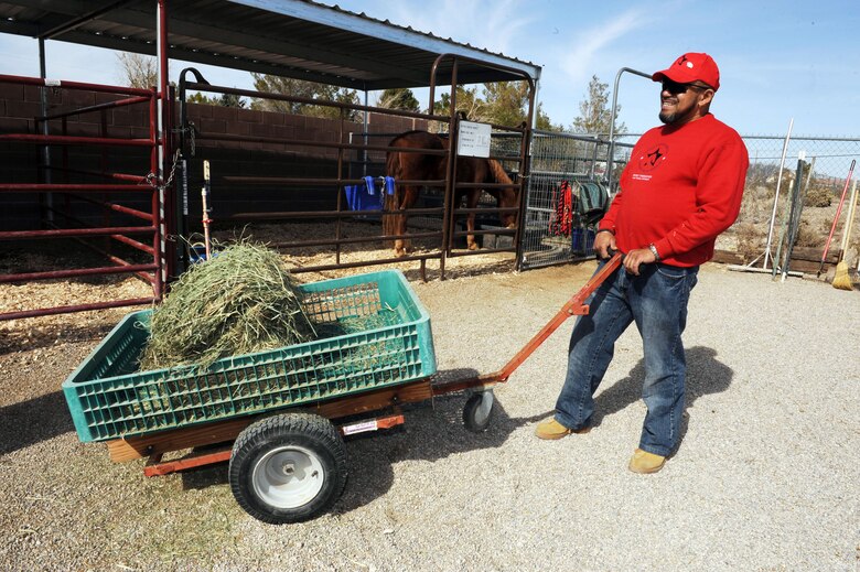Kim Tanner, a retired Army transportation specialist, moves hay at the Spirit Therapies equestrian center in Las Vegas, Nev., as part of the Horses Healing Heroes program. He sustained severe injuries after being struck by an improvised explosive device in Iraq in 2005.  The program serves active-duty military and veterans who have been diagnosed with physical and/or mental challenges. (U.S. Air Force photo/Master Sgt. Kevin J. Gruenwald)