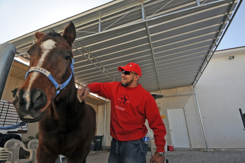 Kim Tanner, a retired Army transportation specialist, brushes "Pass" at the Spirit Therapies equestrian center in Las Vegas, Nev., as part of the Horses Healing Heroes program. He sustained severe injuries after being struck by an improvised explosive device in Iraq in 2005.  The program serves active-duty military and veterans who have been diagnosed with physical and/or mental challenges. (U.S. Air Force photo/Master Sgt. Kevin J. Gruenwald)