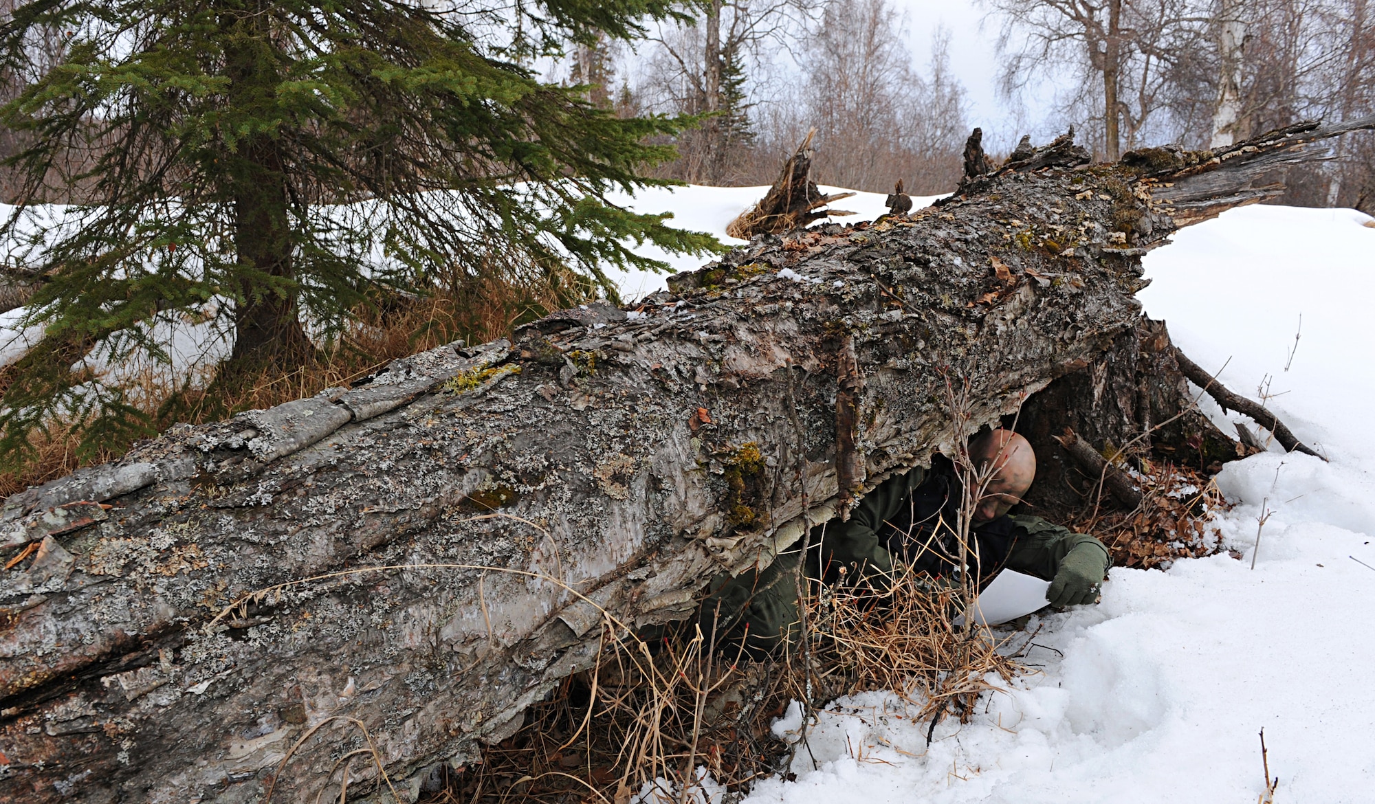ELMENDORF AIR FORCE BASE, Alaska -- Master Sgt. Andrew Schultz conceals himself under a fallen tree while checking coordinates on a map during survival, evasion, resistance and escape field training operations April 12. Airmen with the 962nd Airborne Air Control Squadron had to navigate through the woods using a map, compass and GPS unit while concealing themselves in the surrounding environment. Sergeant Schultz is a communications system operator with the 962nd AACS. (Air Force photo by Senior Airman Cynthia Spalding)