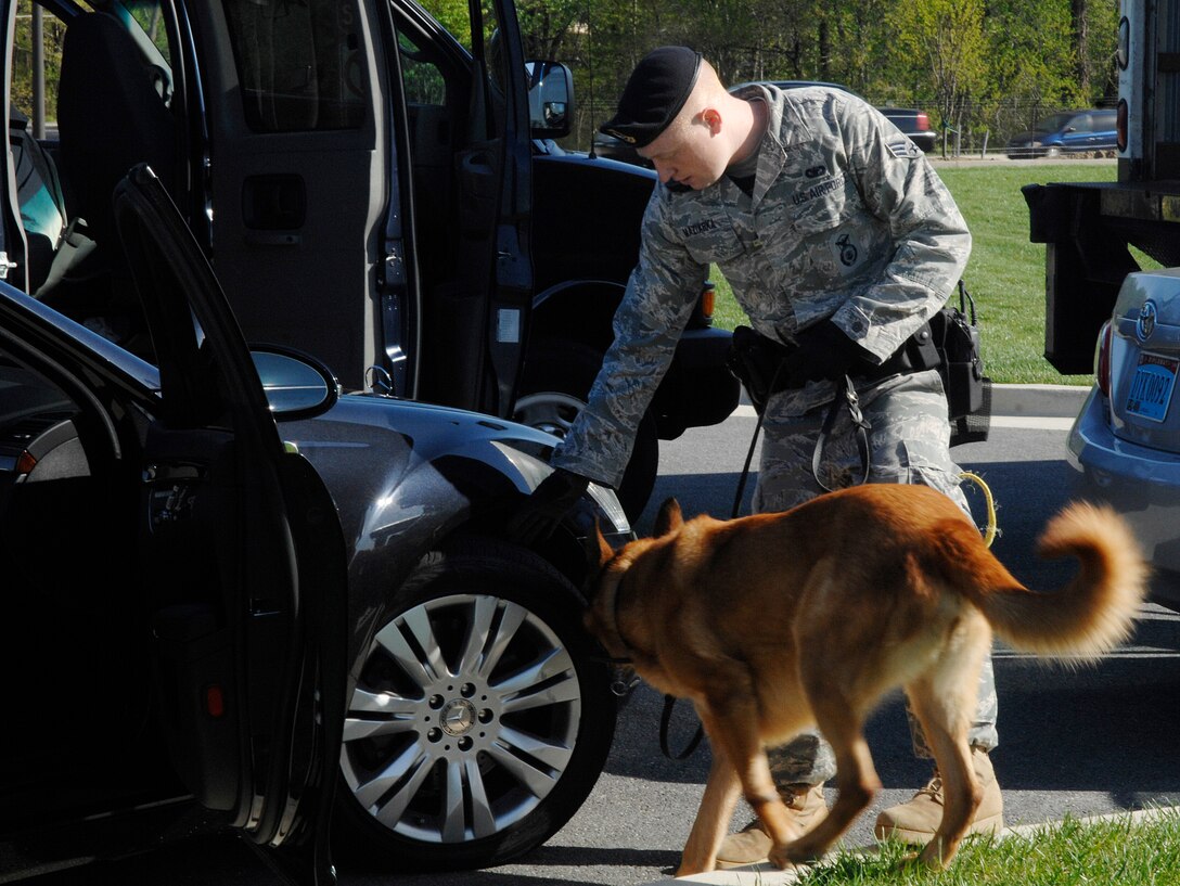 Senior Airman Christopher Maziarka, 316th Security Forces military work dog handler, and Jayder, 316th Security Forces K-9 explosive detector, inspect a vehicle at the main gate search pit on Joint Base Andrews April 10. SrA Maziarka and Jadyer are part of a team assigned to inspect all motorcades belonging to the delegations arriving at the main gate. The 316th Wing is leading operations to provide safe, effective and efficient arrival and departure services for the invited guests transiting Andrews. (U.S. Air Force photo by Airman 1st Class Melissa V. Brownstein)