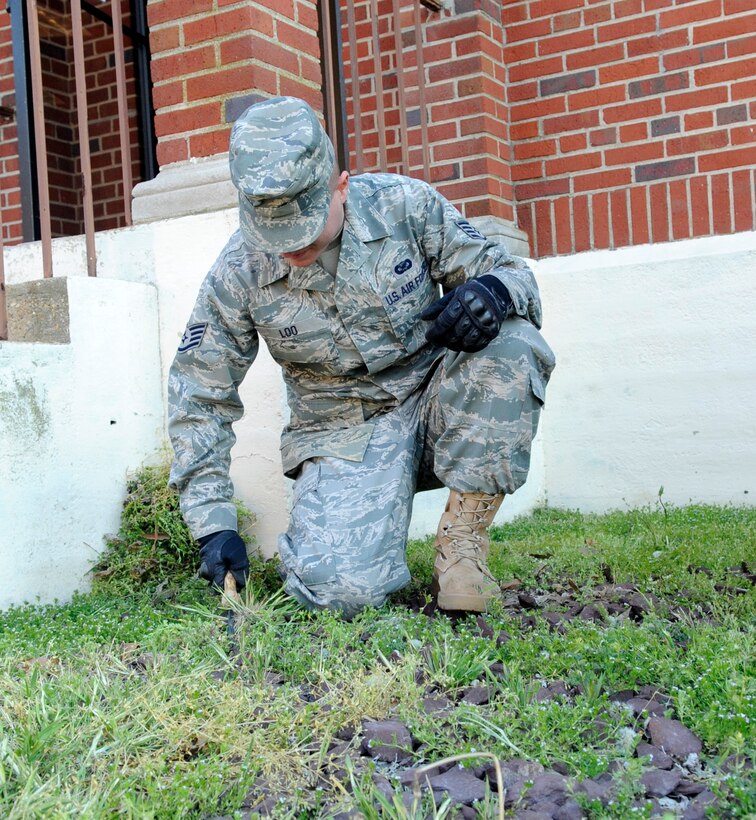 LANGLEY AIR FORCE BASE, Va. - Staff Sgt. Barry Loo, 633d Air Base Wing Public Affairs operational photography non commissioned officer in charge, pulls weeds during the Team Langley spring clean up week April 16. Team Langley spring clean up week April 12-16 was launched to restore the installation after a harsh winter. (U.S. Air Force photo/ Senior Airman Dana Hill)
