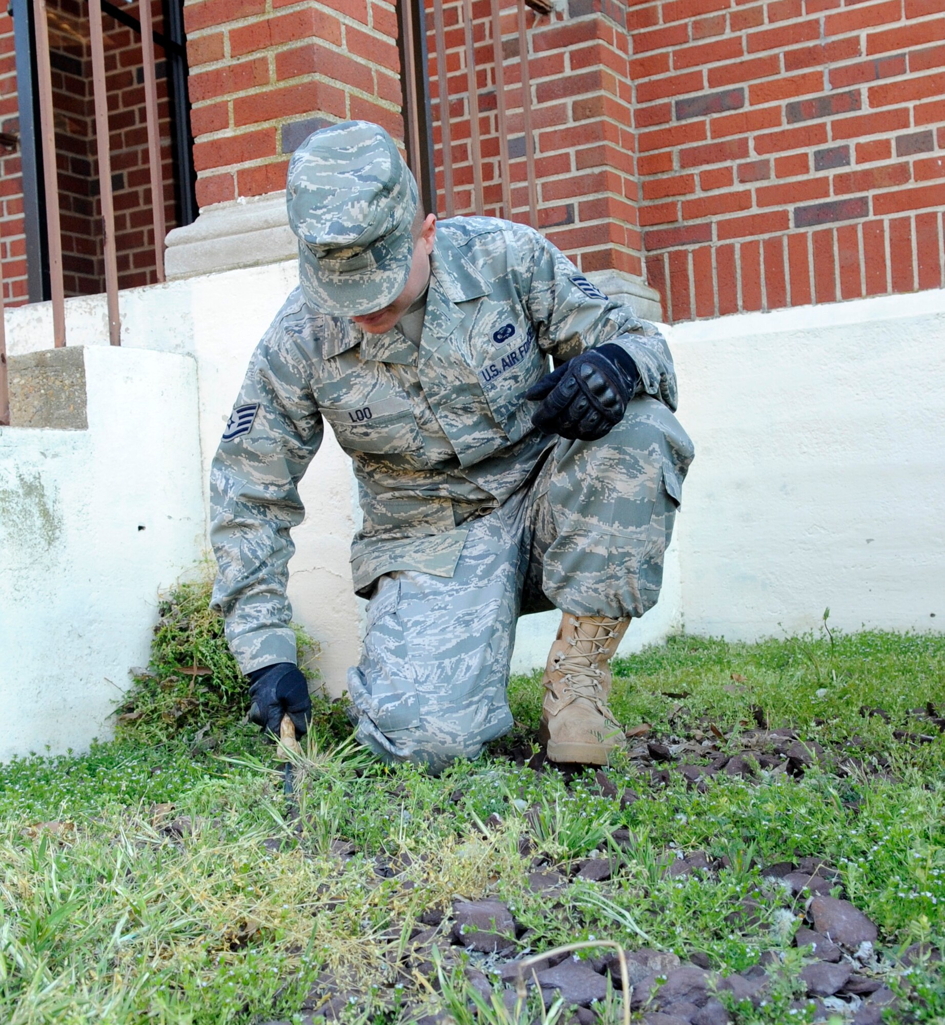 LANGLEY AIR FORCE BASE, Va. - Staff Sgt. Barry Loo, 633d Air Base Wing Public Affairs operational photography non commissioned officer in charge, pulls weeds during the Team Langley spring clean up week April 16. Team Langley spring clean up week April 12-16 was launched to restore the installation after a harsh winter. (U.S. Air Force photo/ Senior Airman Dana Hill)
