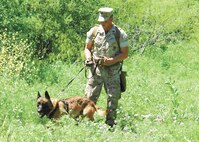 Chico, a combat tracker dog, leads handler Marine Staff Sgt. Aaron Nuckles through a grassy field on the trail of Col. William H. Mott V, 37th Training Wing commander, during a field demonstration at the Lackland Training Annex April 8. (U.S. Air Force photo/Alan Boedeker)