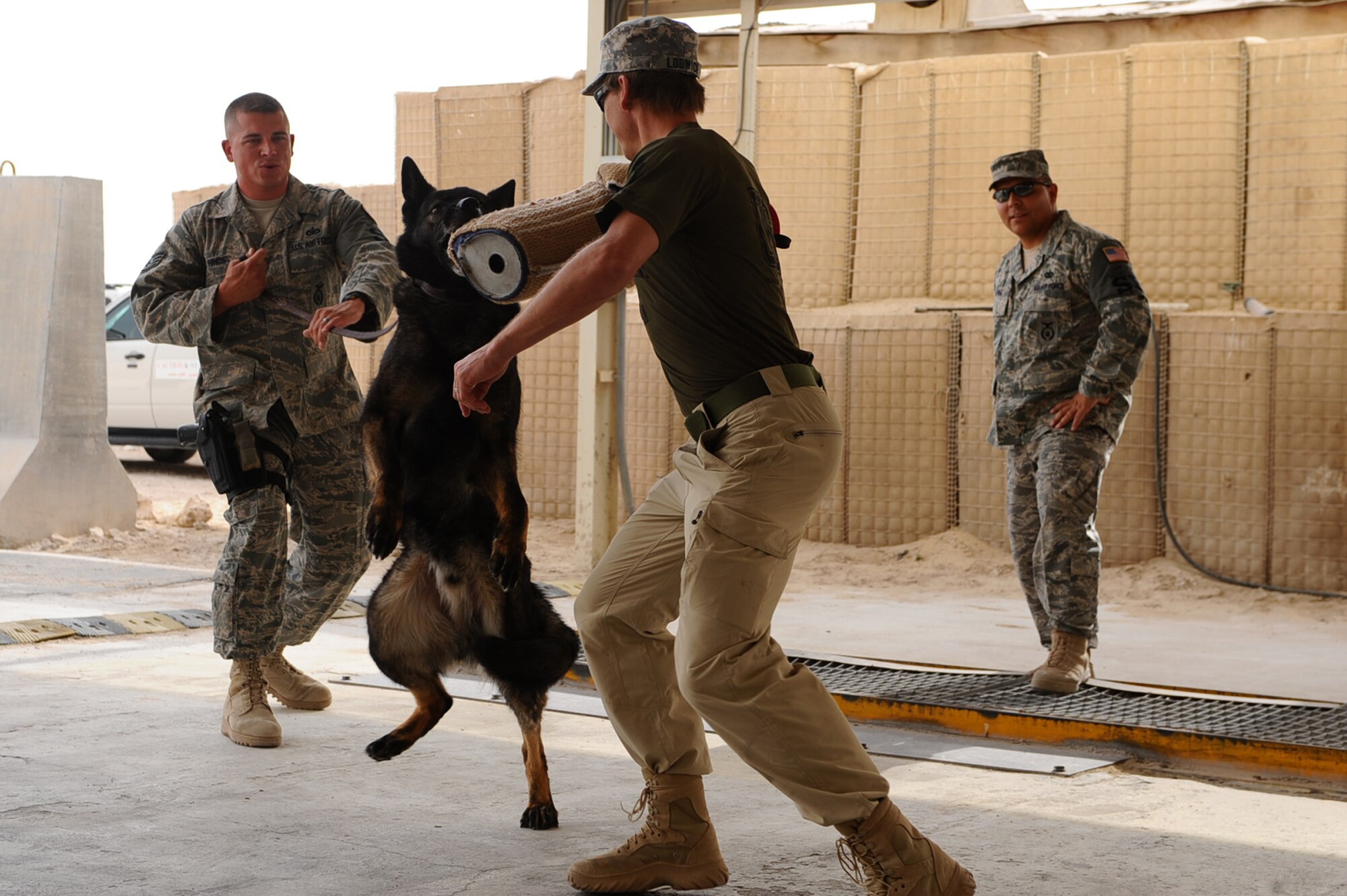 Staff Sgt. Christopher Hinds, 379th Expeditionary Security Forces Squadron military working dog handler, holds the leash of Ajax, 379 ESFS military working dog, while ?attacking? Todd Lodwick, a visiting U.S. Olympic Ski Team medalist, during a demonstration at a non-disclosed Southwest Asia location April 9, 2010. (U.S. Air Force photo by Senior Airman Kasey Zickmund)[RELEASED]