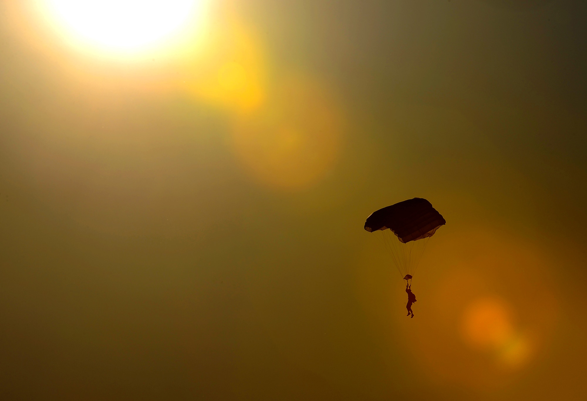 A Navy SEAL drifts to the ground after jumping from a C-17 Globemaster III over Fort Picket Maneuver Training Center, Va., April 15.  The jump was part of joint training exercise with the 517th Airlift Squadron from Elmendorf Air Force Base, Alaska. The training consisted of high altitude, high opening and high altitude, low opening jumps between 5,000 and 12,500 feet. (Air Force photo by Staff Sgt. Brian Ferguson)