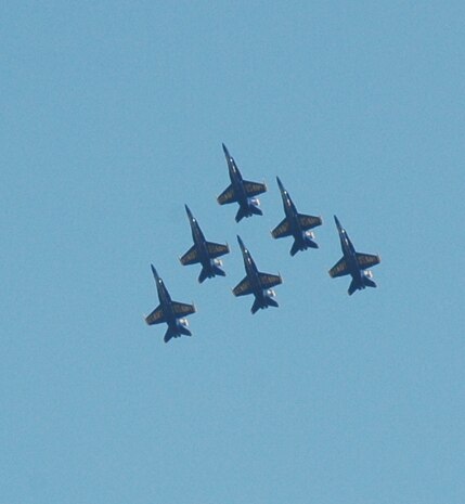 The Blue Angels soar over charleston harbor during thier practice run Friday, 12 April.  The Blue Angels performed on Saturday and Sunday for public viewing.