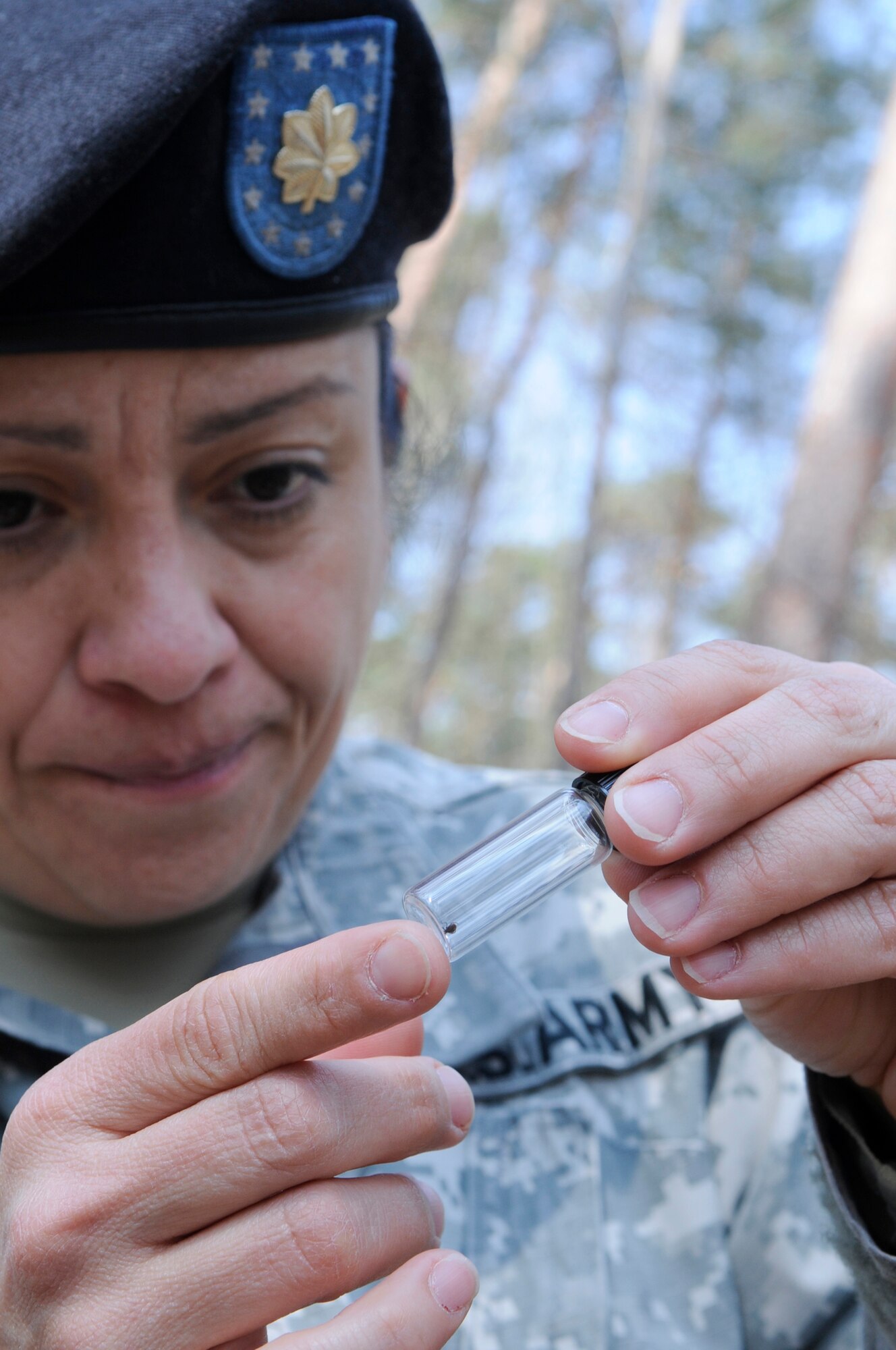 U.S. Army Maj. Lesly Calix, U.S. Army Public Health Command Region-Europe medical entomologist, studies a recently captured tick, Ramstein Air Base, Germany, April 16, 2010. The 86th Aerospace Medical Squadron public health flight on Ramstein has been working with the USAPHCEUR to conduct surveillance of tick species and tick-borne pathogens in the area. (U.S. Air Force photo by Airman 1st Class Brittany Perry)