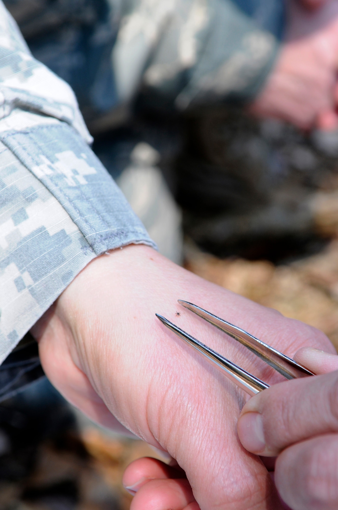U.S. Air Force Capt. Phillipp Lim, 86th Aerospace Medical Squadron public health flight operations chief, grasps a tick off U.S. Army Maj. Lesly Calix, U.S. Army Public Health Command Region-Europe medical entomologist, Ramstein Air Base, Germany, April 16, 2010. The 86th AMDS public health flight on Ramstein has been working with the USAPHCEUR to conduct surveillance of tick species and tick-borne pathogens in the area. (U.S. Air Force photo by Airman 1st Class Brittany Perry)